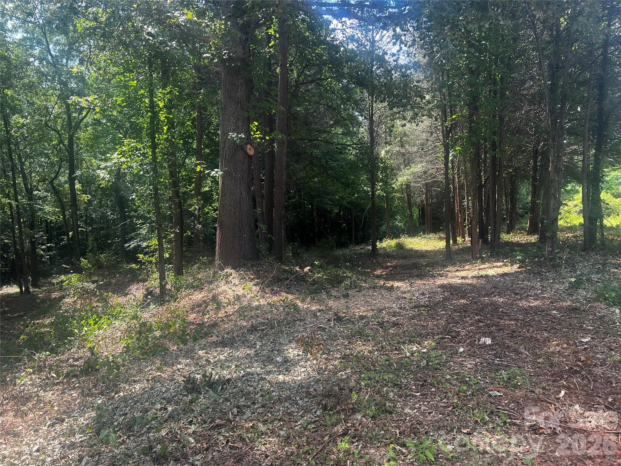 Lot at 10376 Turnplow Drive, Davidson, photo 4 of 13