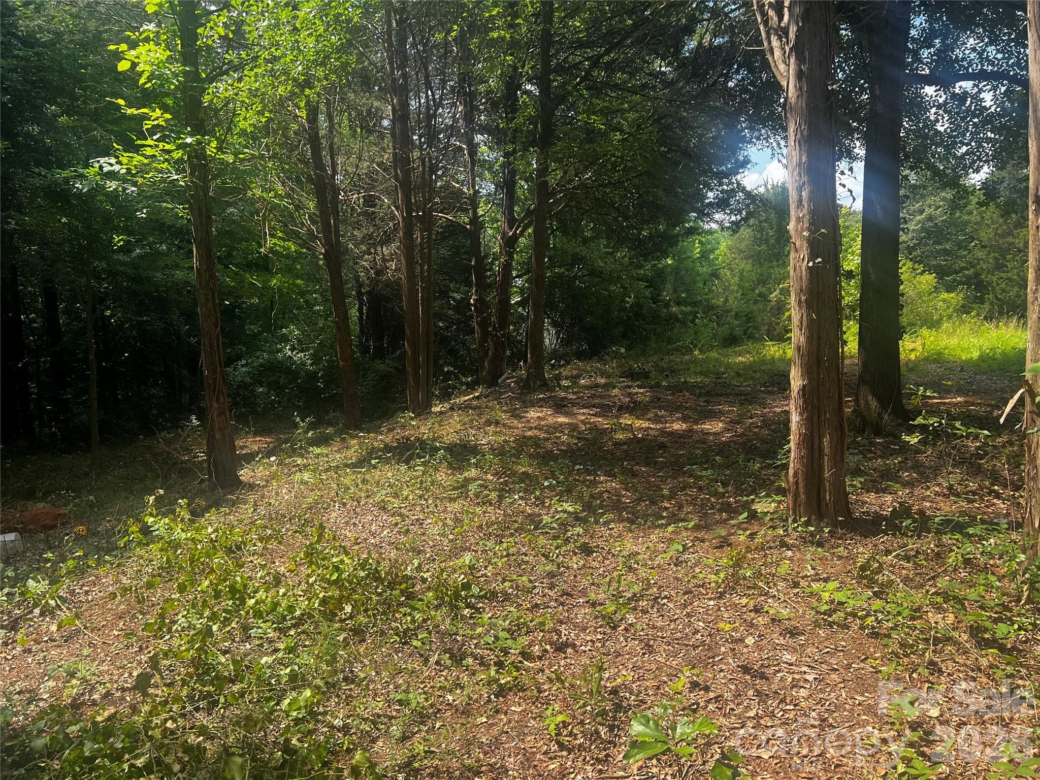 Lot at 10376 Turnplow Drive, Davidson, photo 5 of 13