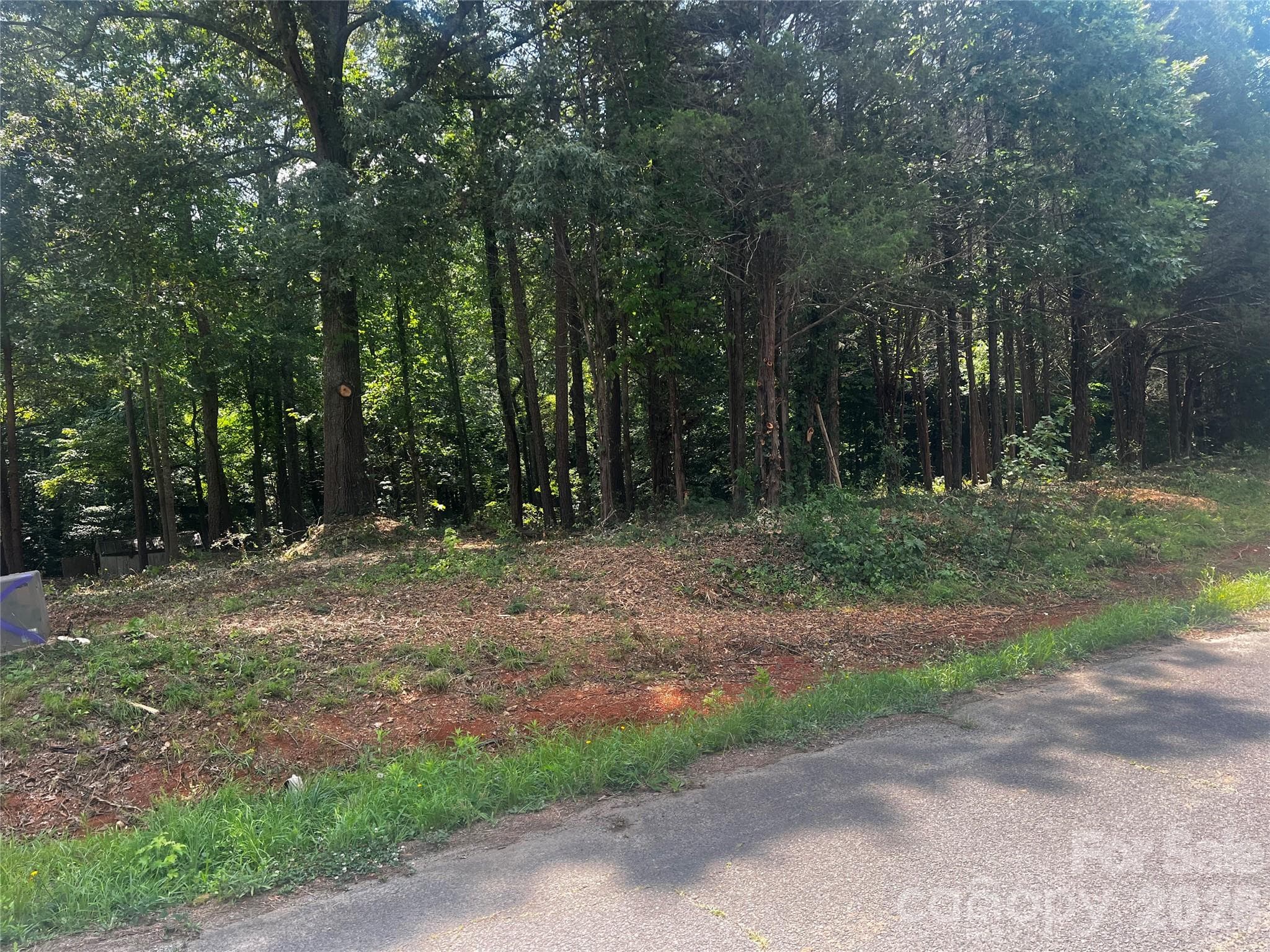 Lot at 10376 Turnplow Drive, Davidson, photo 7 of 13