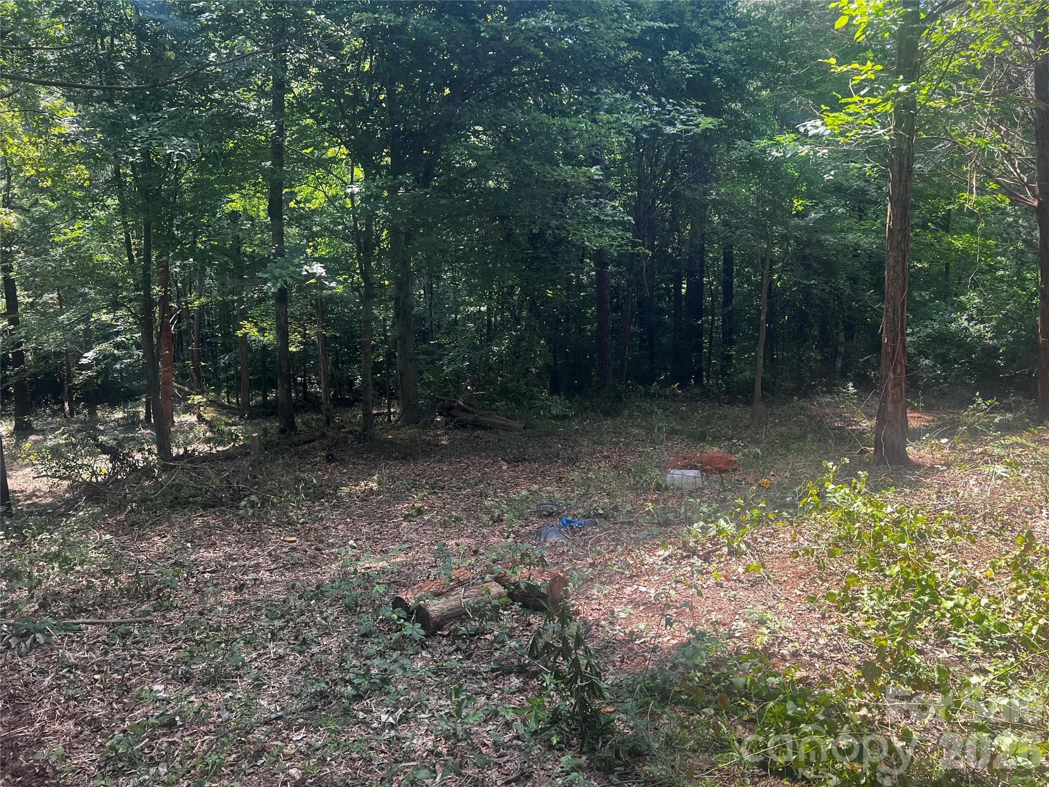 Lot at 10376 Turnplow Drive, Davidson, photo 9 of 13