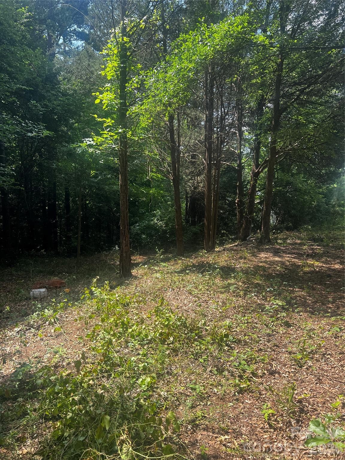 Lot at 10376 Turnplow Drive, Davidson, photo 11 of 13