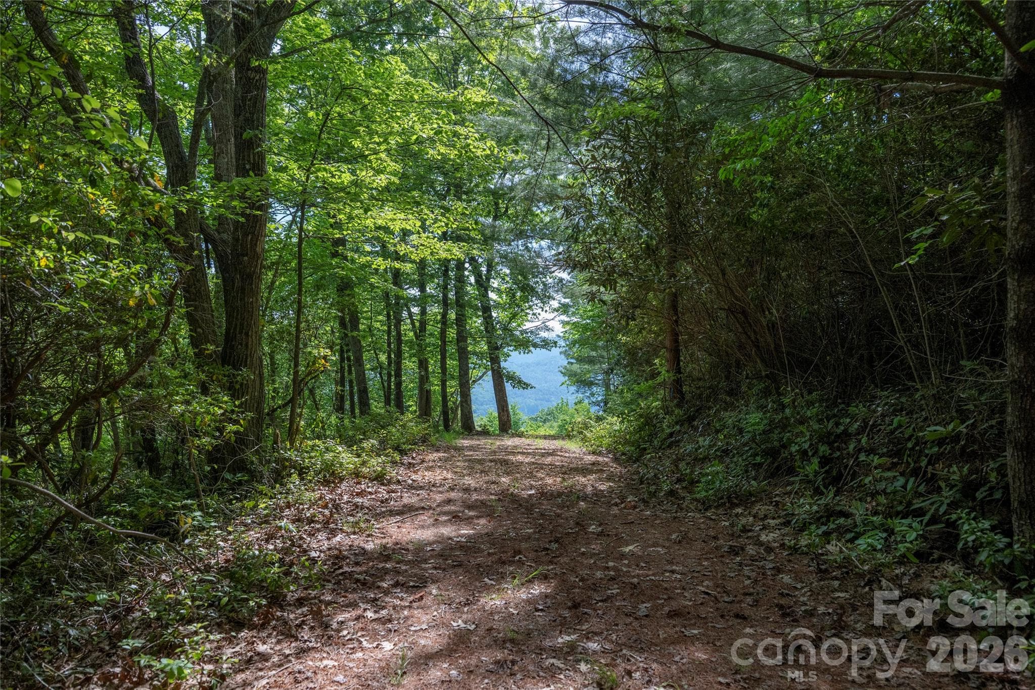 Lot at Lake Toxaway, photo 2 of 17