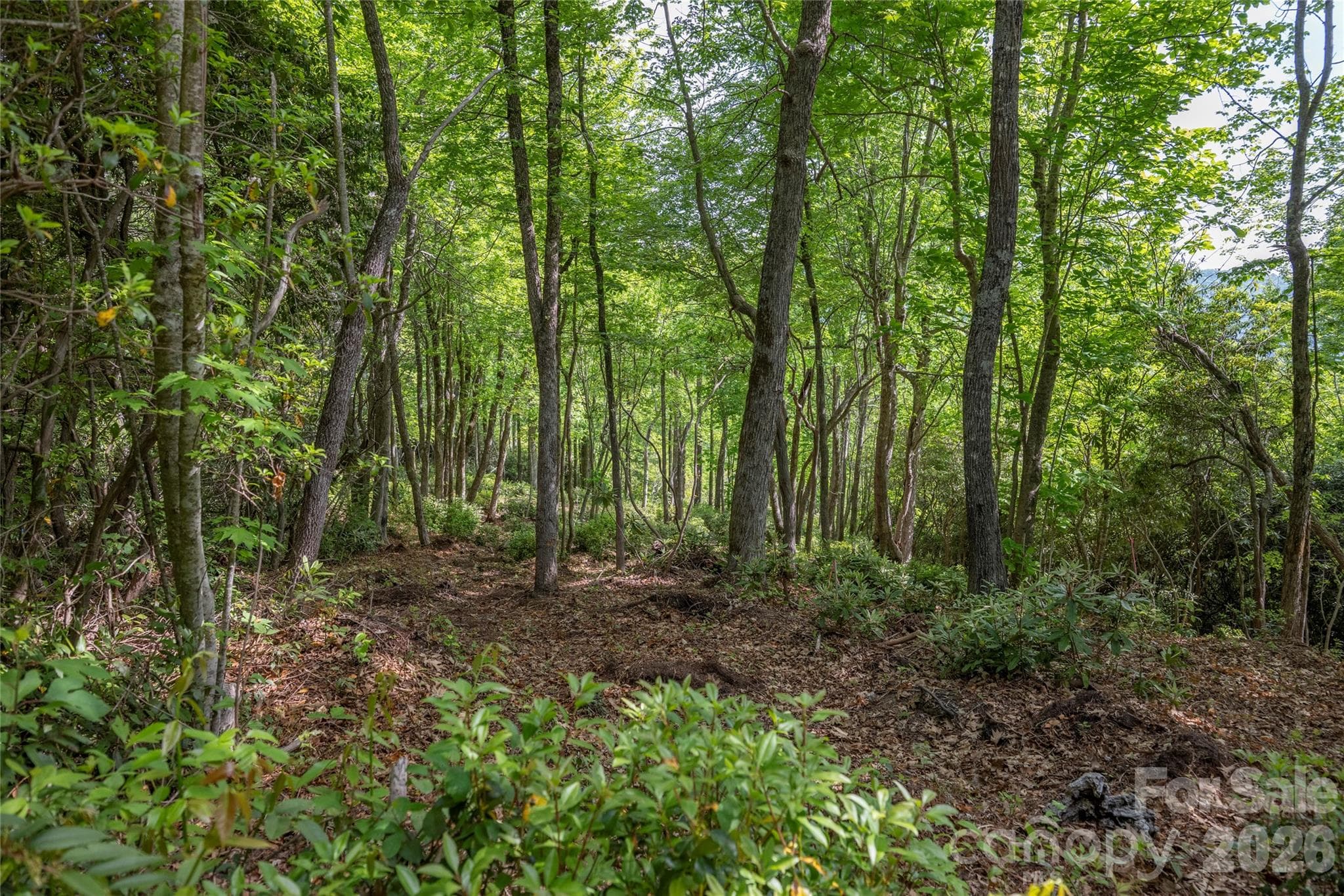 Lot at Lake Toxaway, photo 3 of 17