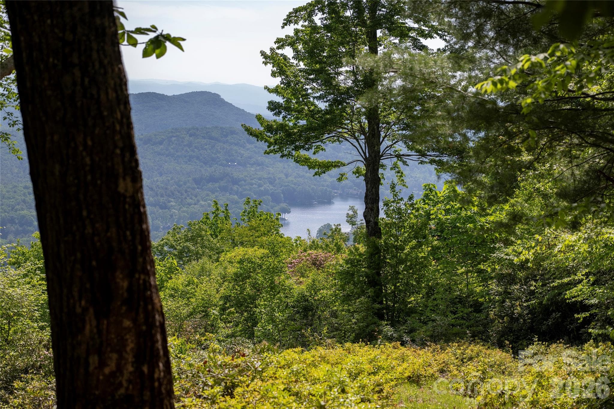 Lot at Lake Toxaway, photo 4 of 17