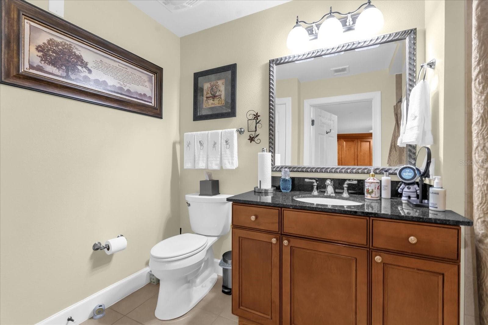 3rd bathroom - 1364 CENTRE COURT RIDGE DR #101, REUNION