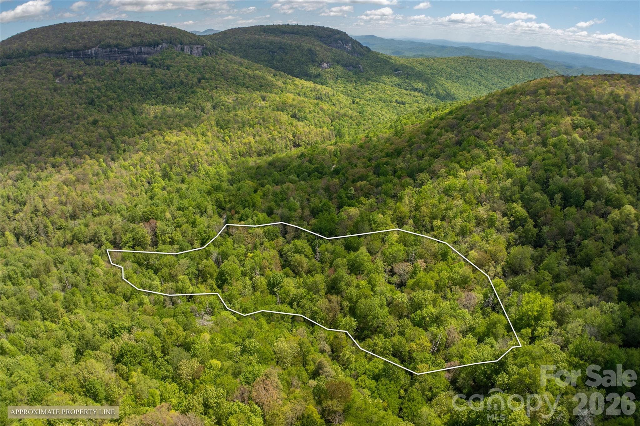 Acreage at River Camp Long Ridge Road, Lake Toxaway, photo 2 of 32