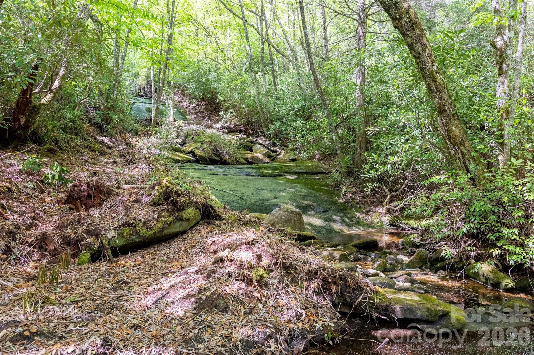 Acreage at River Camp Long Ridge Road, Lake Toxaway, photo 7 of 32