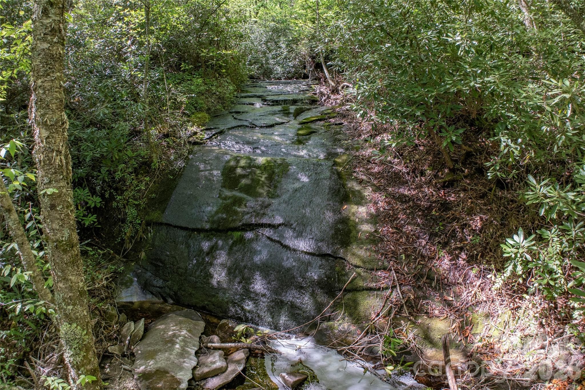 Acreage at River Camp Long Ridge Road, Lake Toxaway, photo 15 of 32