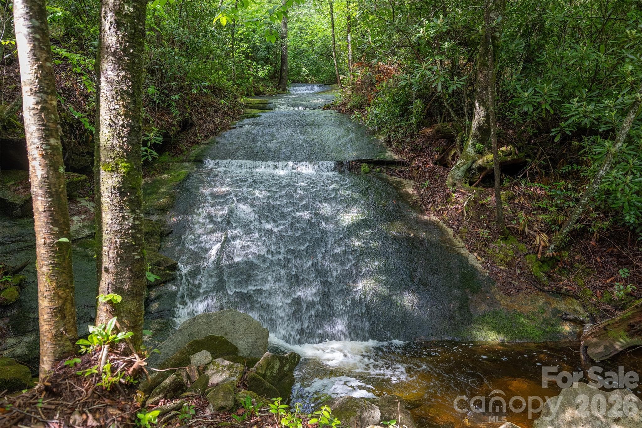 Acreage at River Camp Long Ridge Road, Lake Toxaway, photo 19 of 32