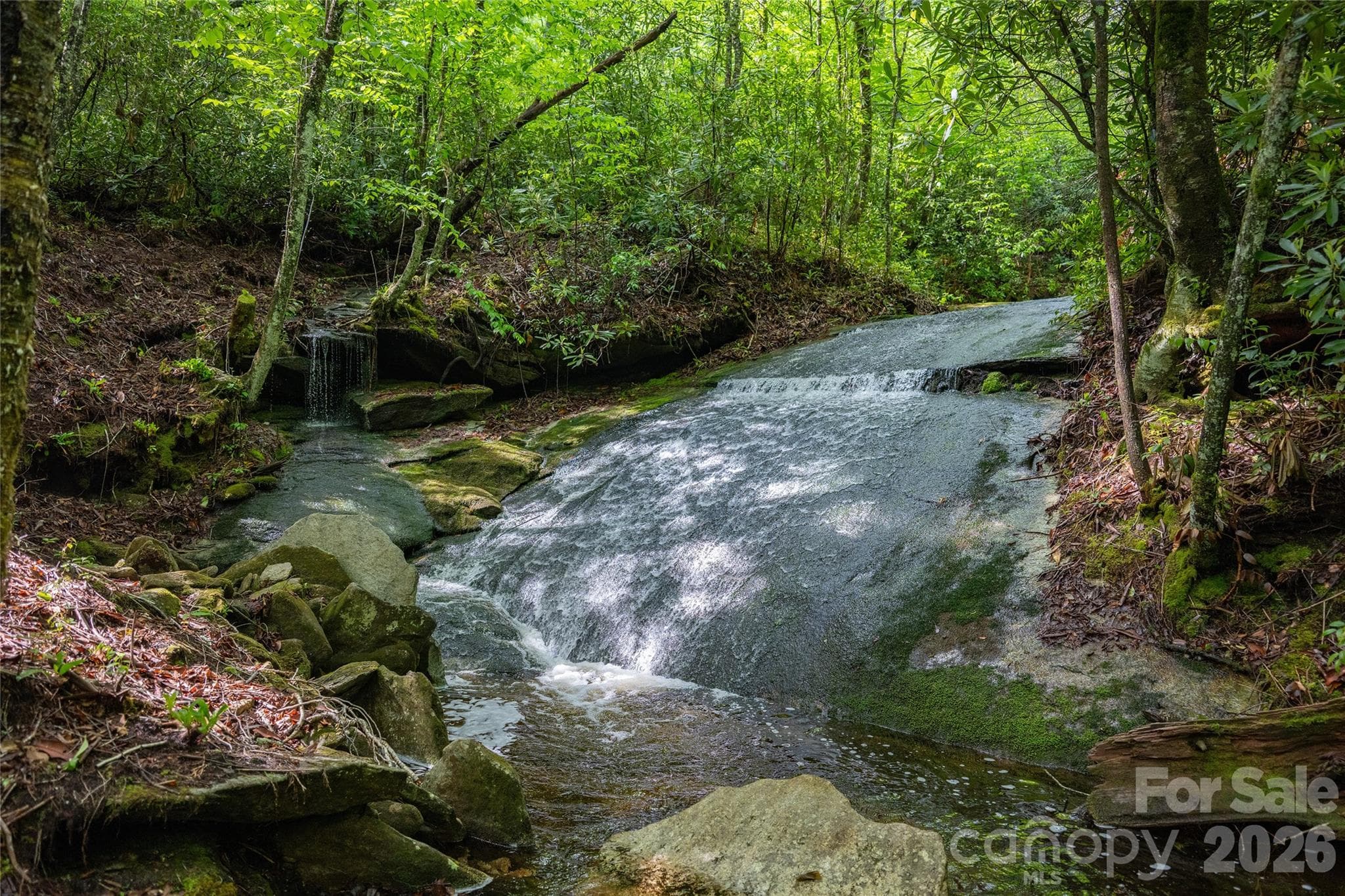Acreage at River Camp Long Ridge Road, Lake Toxaway, photo 22 of 32