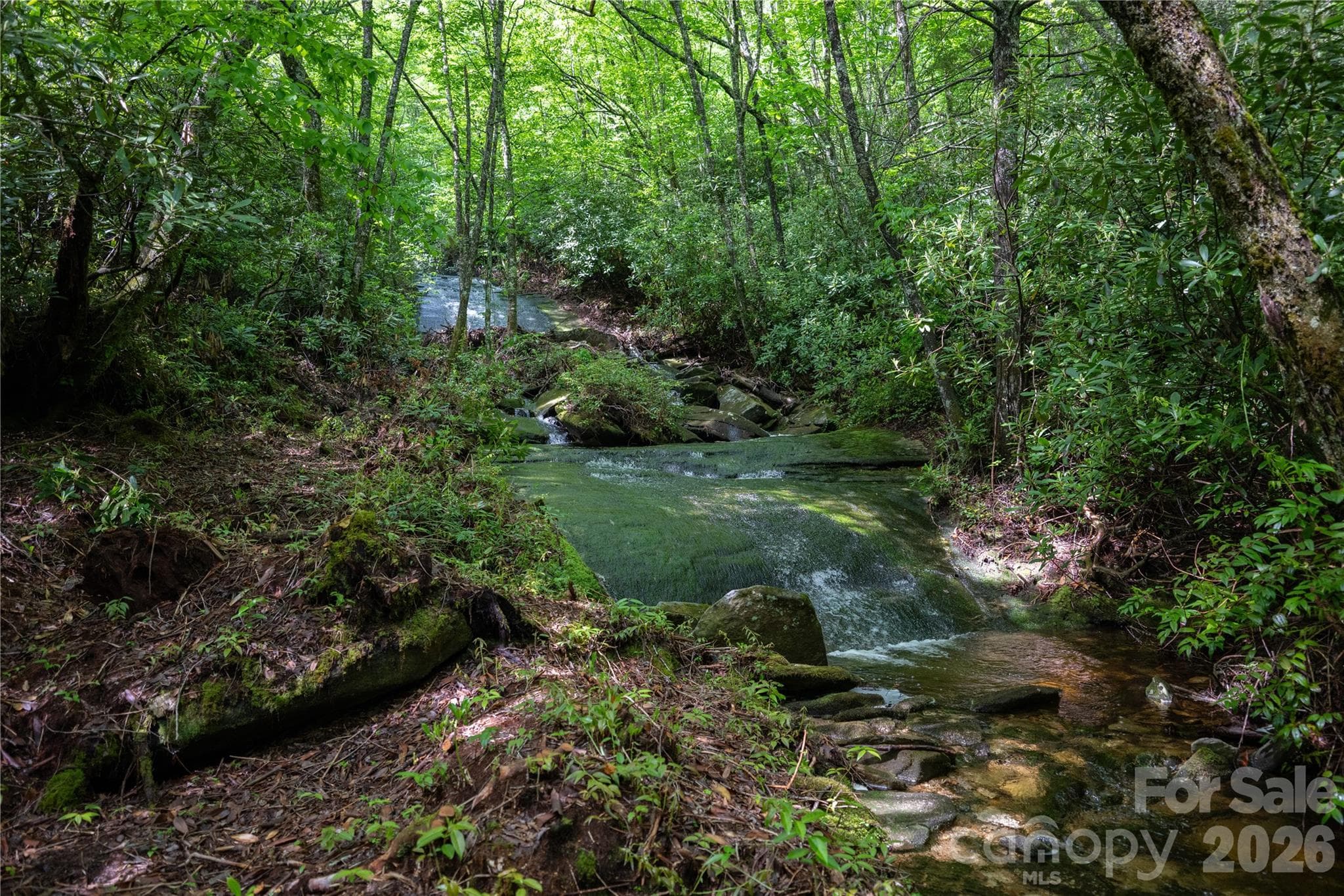 Acreage at River Camp Long Ridge Road, Lake Toxaway, photo 23 of 32