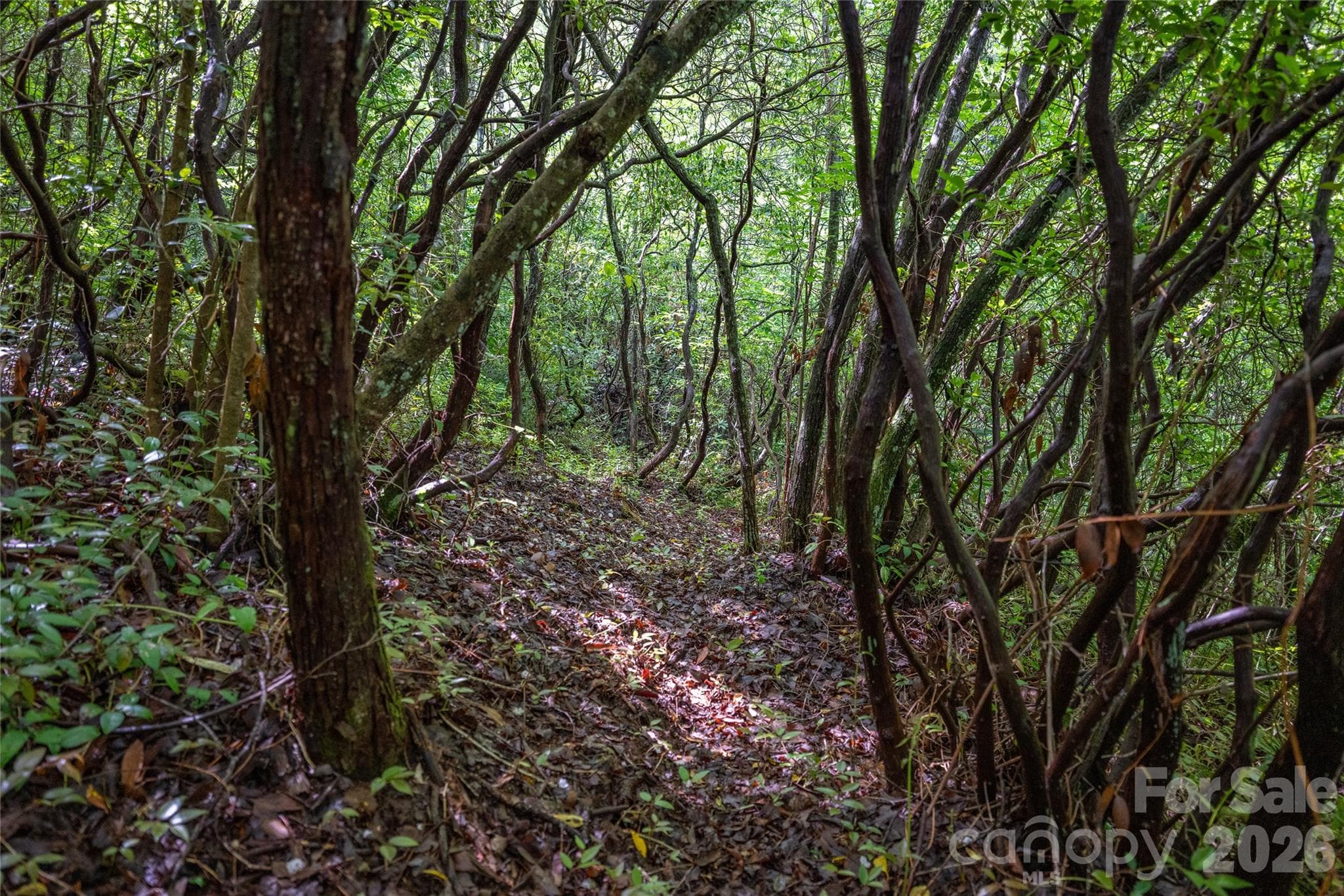Acreage at River Camp Long Ridge Road, Lake Toxaway, photo 26 of 32