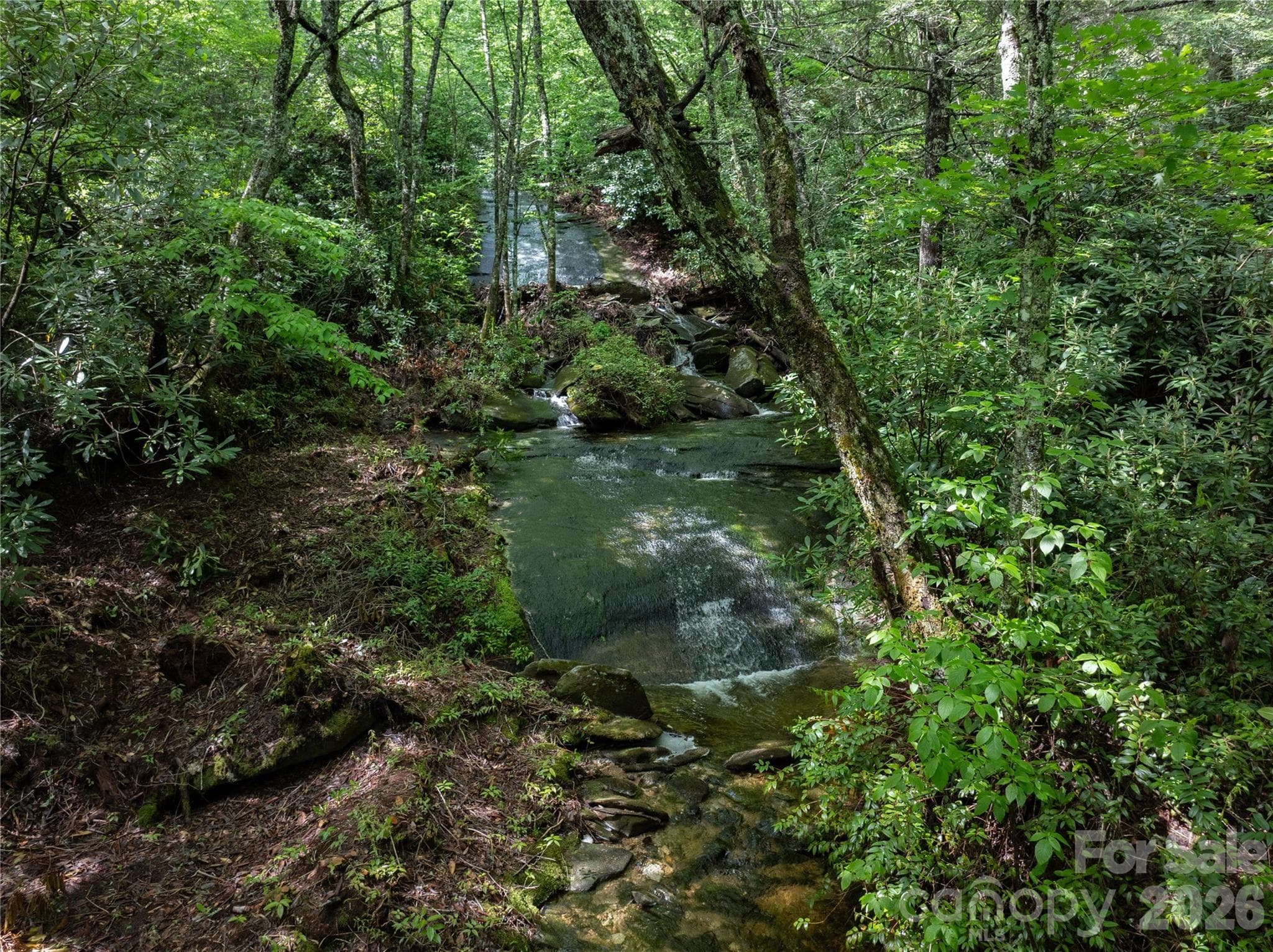 Acreage at River Camp Long Ridge Road, Lake Toxaway, photo 31 of 32