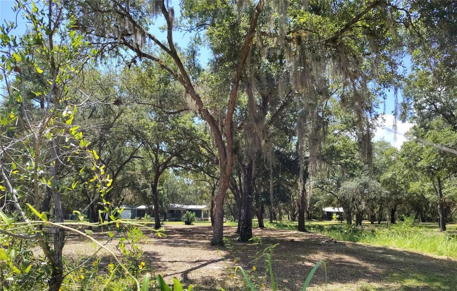 Home front From fence line - 12627 BLACKBERRY LN, LAKE WALES