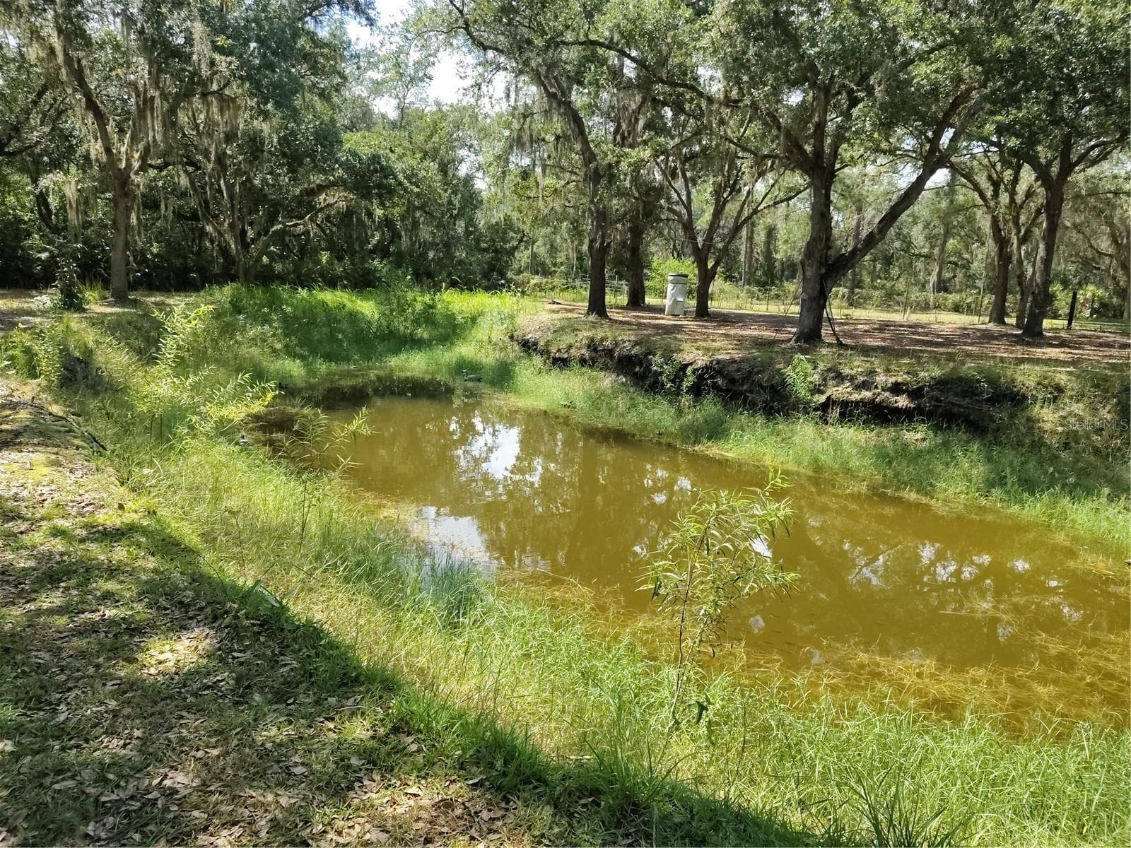 Stocked Pond - 12627 BLACKBERRY LN, LAKE WALES