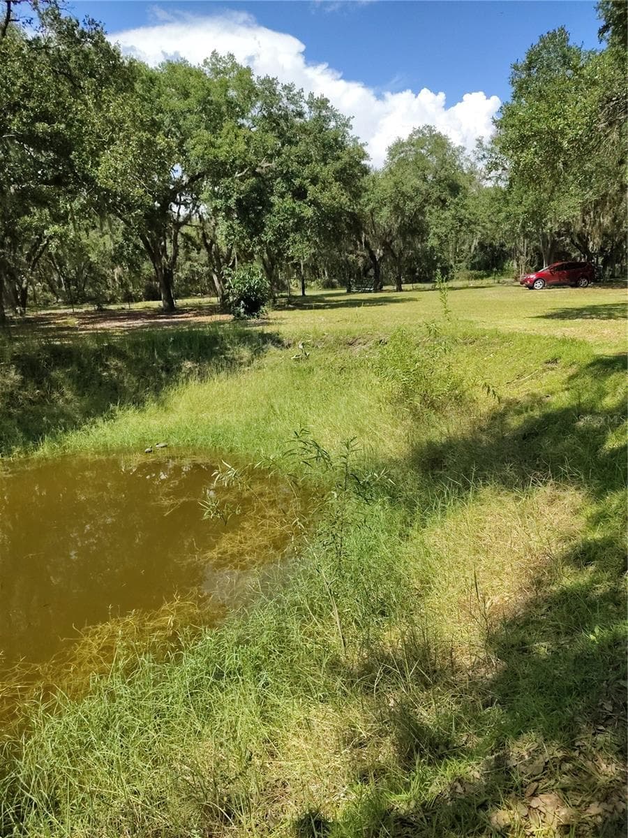 Pond - 12627 BLACKBERRY LN, LAKE WALES