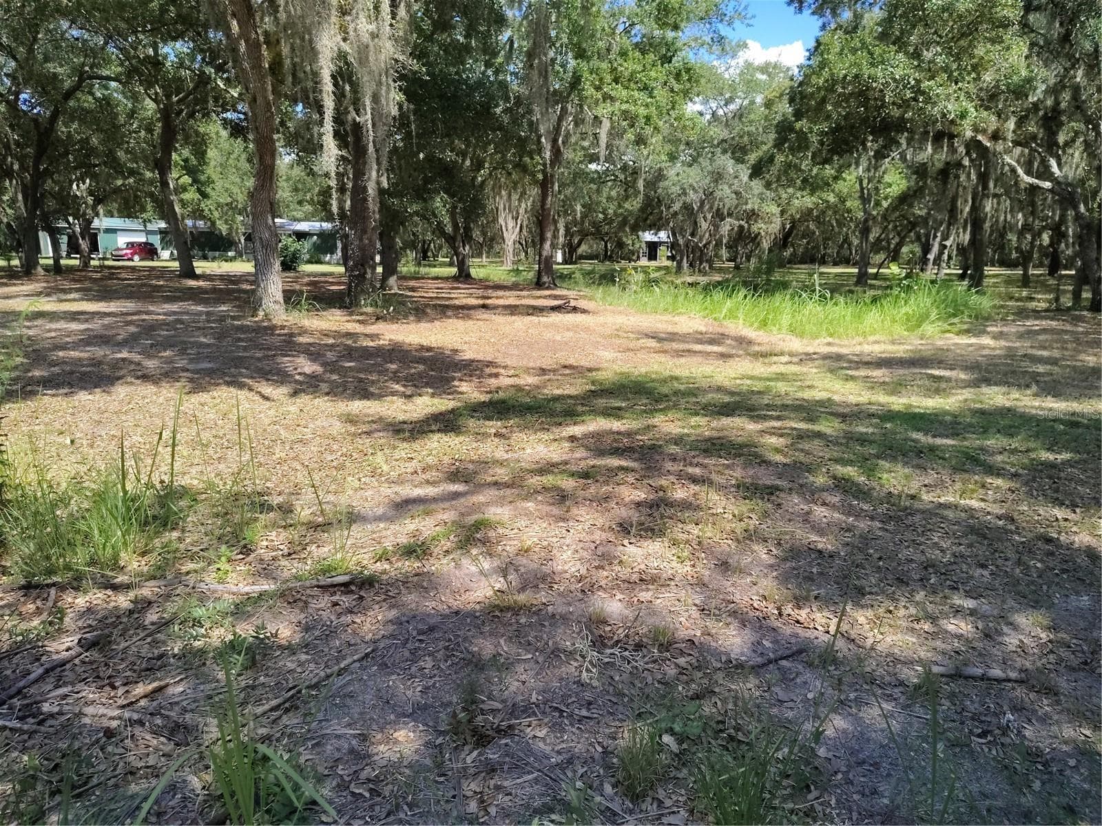 View of yard - 12627 BLACKBERRY LN, LAKE WALES
