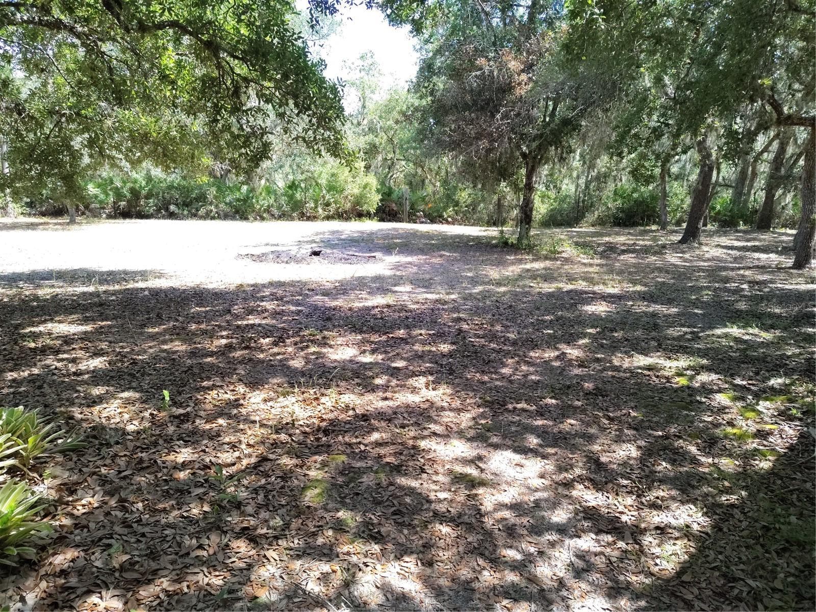 Yard view - 12627 BLACKBERRY LN, LAKE WALES