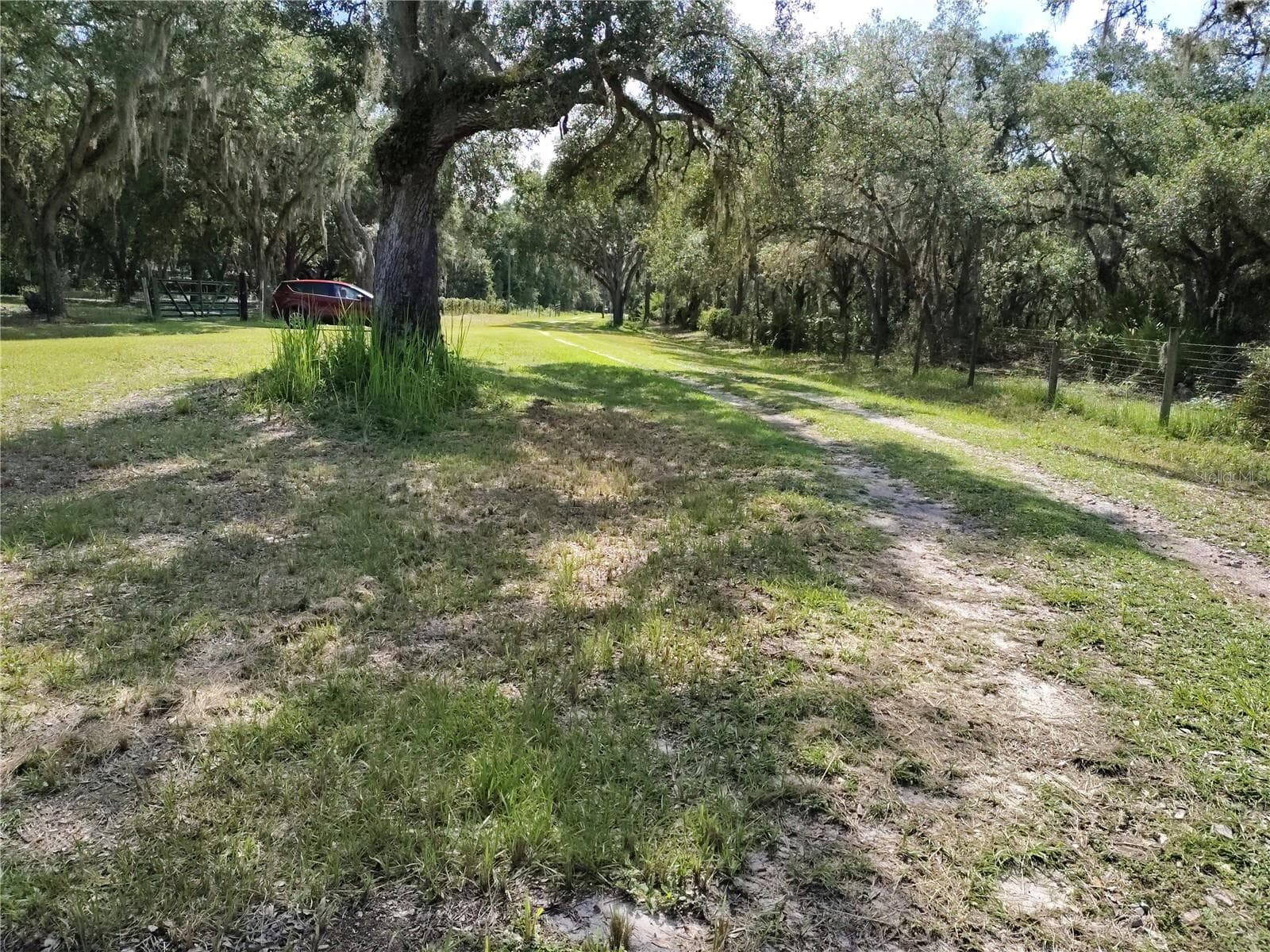 Yard - 12627 BLACKBERRY LN, LAKE WALES