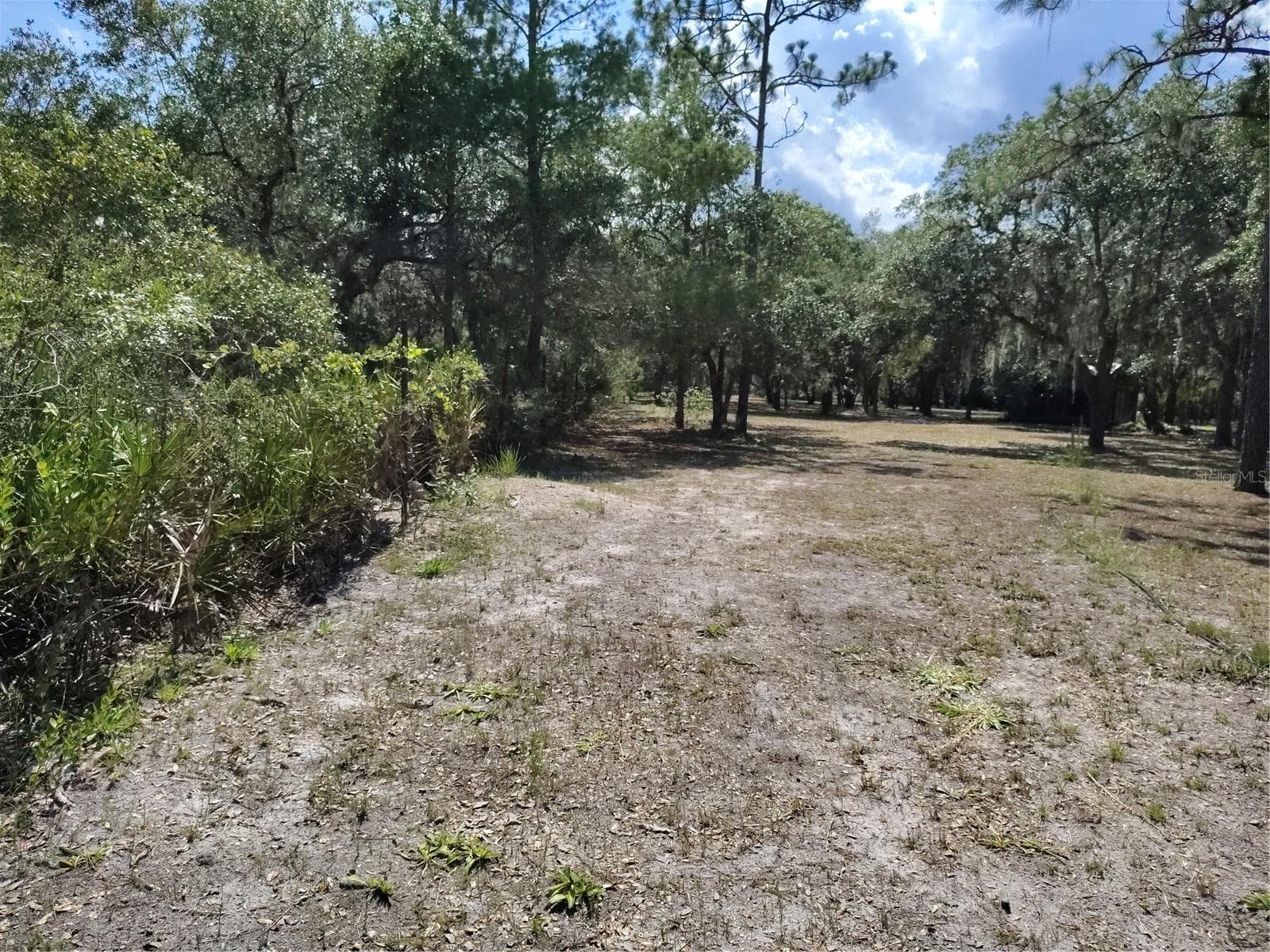 Yard - 12627 BLACKBERRY LN, LAKE WALES