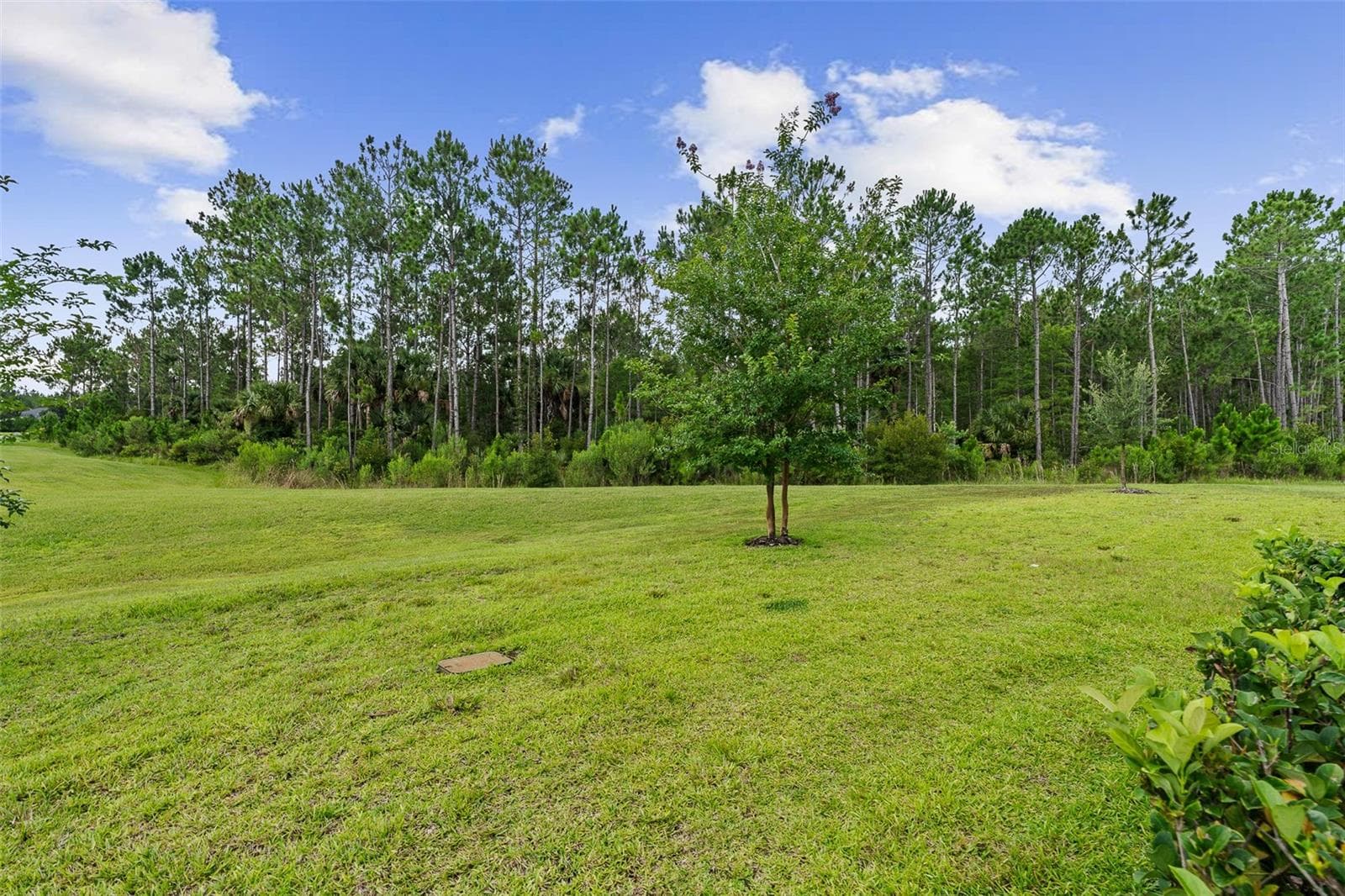 Rear View - 7 NEWHAVEN LN, ORMOND BEACH