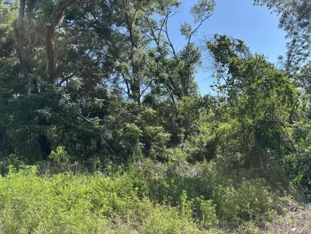 Land at 7157 GLORY RD, ZEPHYRHILLS, photo 3 of 7