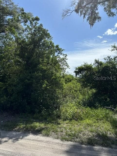 Land at 7157 GLORY RD, ZEPHYRHILLS, photo 4 of 7