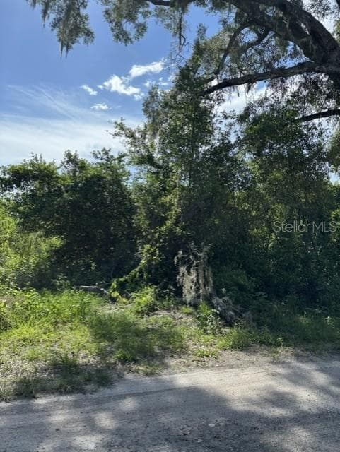 Land at 7157 GLORY RD, ZEPHYRHILLS, photo 5 of 7