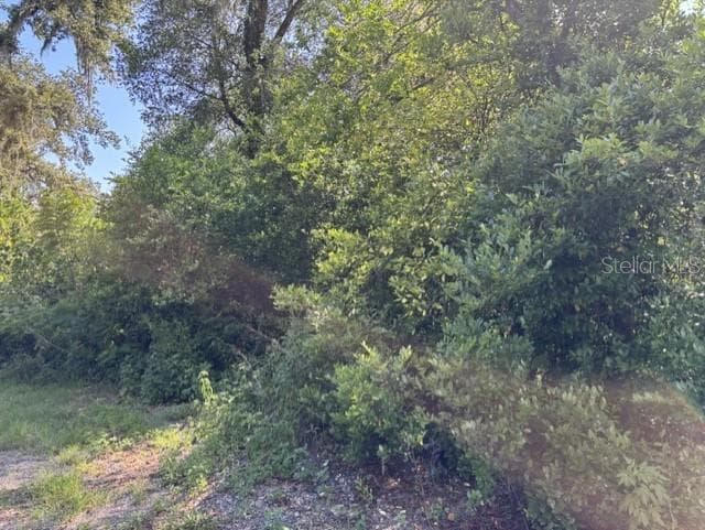 Land at 7157 GLORY RD, ZEPHYRHILLS, photo 6 of 7