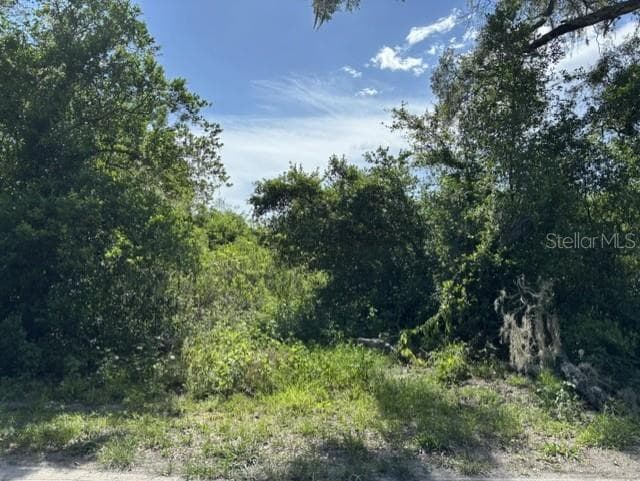 Land at 7157 GLORY RD, ZEPHYRHILLS, photo 7 of 7
