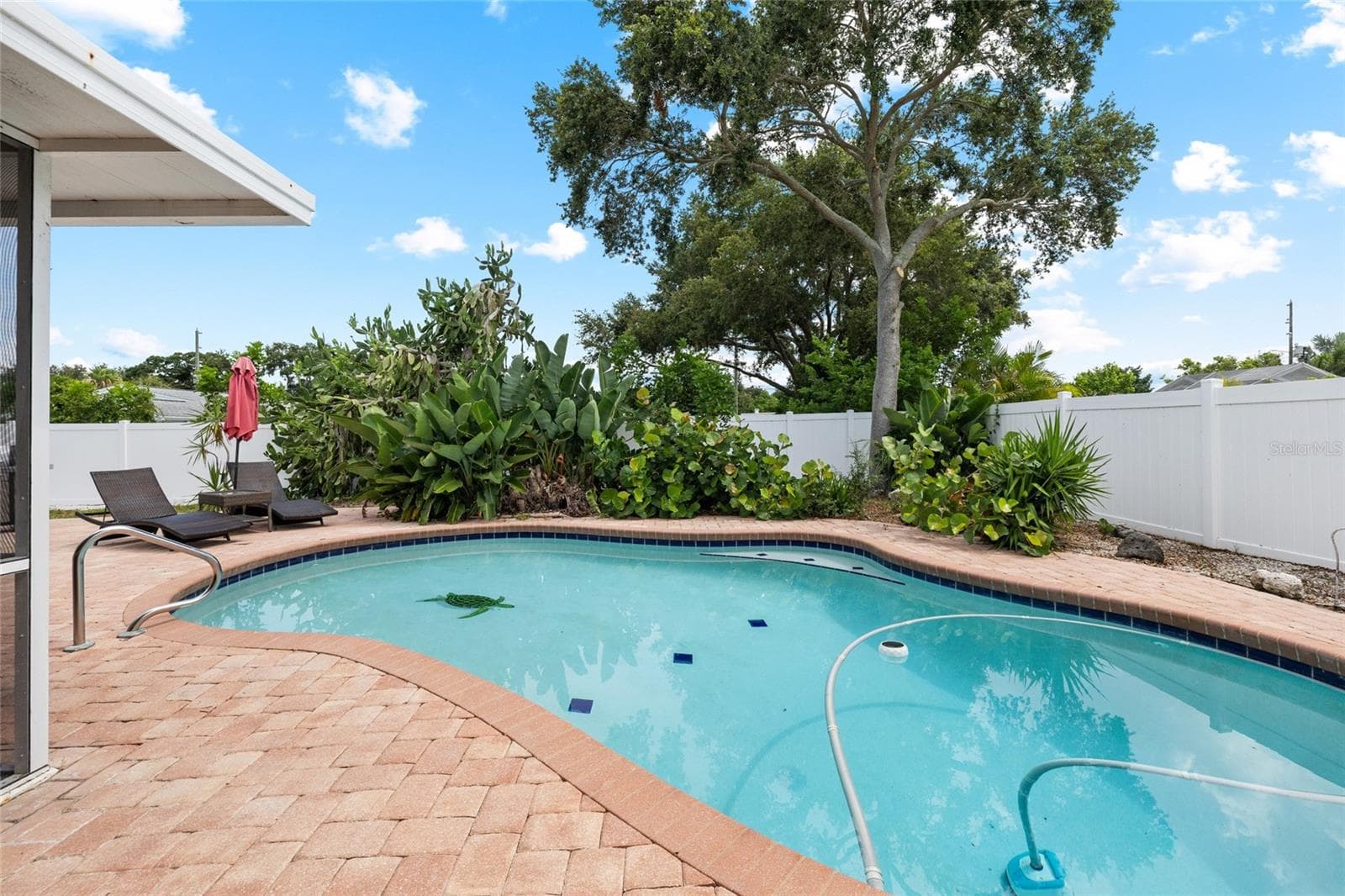 Pool - 1070 MCCARTY ST, DUNEDIN