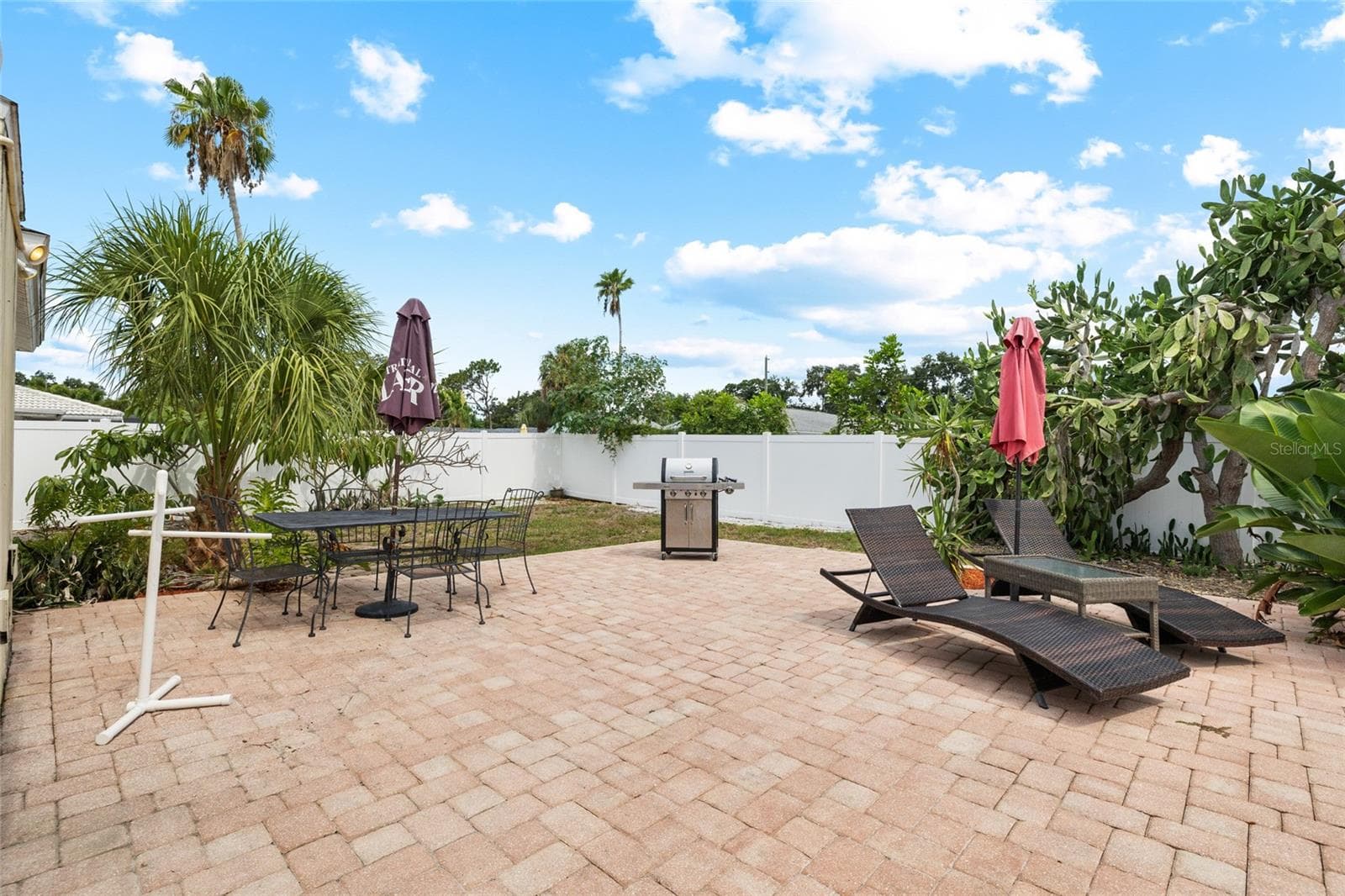 Oversized Pool deck - 1070 MCCARTY ST, DUNEDIN