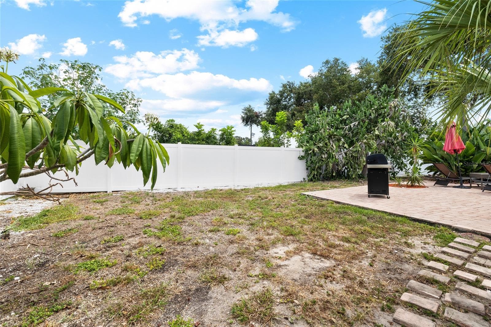 Spacious Back Yard - 1070 MCCARTY ST, DUNEDIN