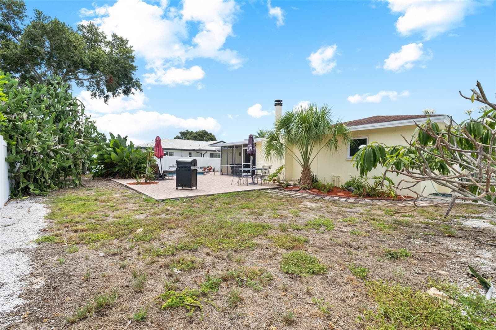 Spacious Back Yard - 1070 MCCARTY ST, DUNEDIN