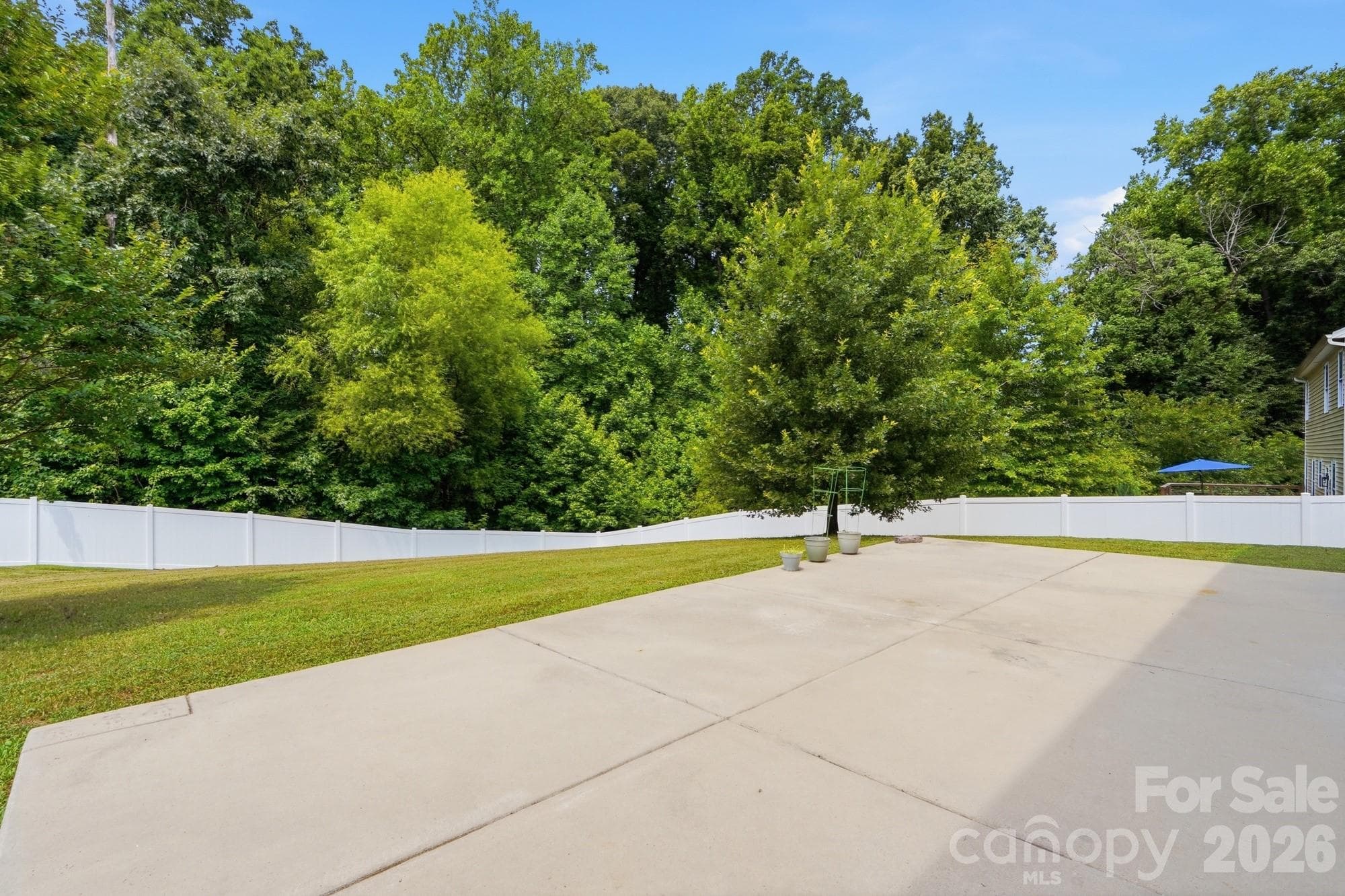 Backyard 2 - 137 Rippling Water Drive, Mount Holly