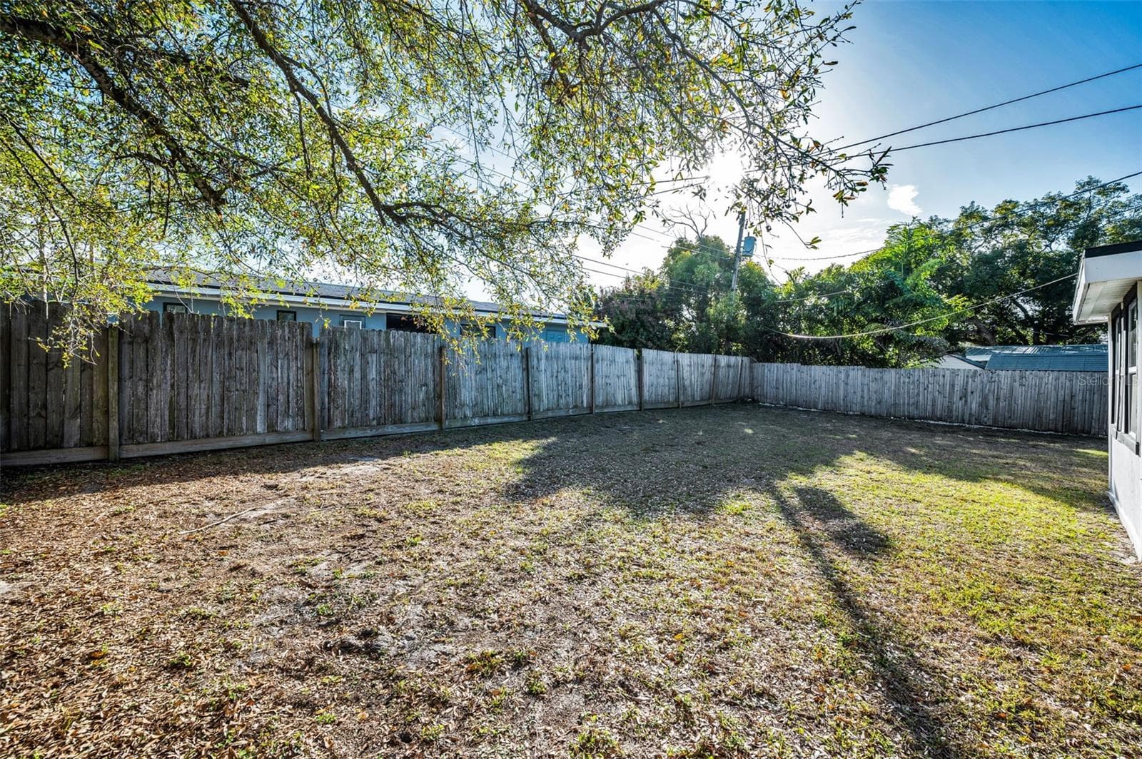 Spacious back yard - 1231 LITTLE JOHN LN, DUNEDIN