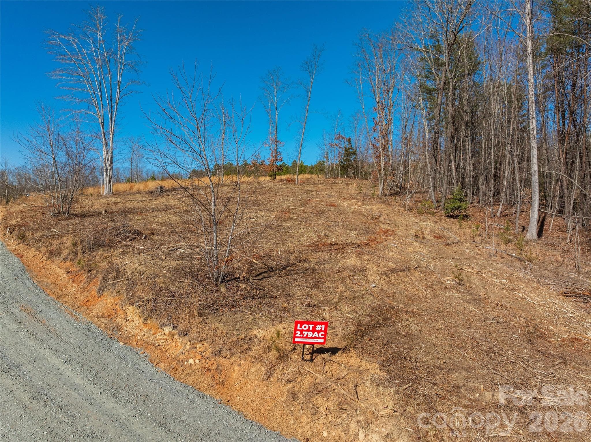 Lot at LOT #1 Price Summit Way, Mill Spring, photo 4 of 18