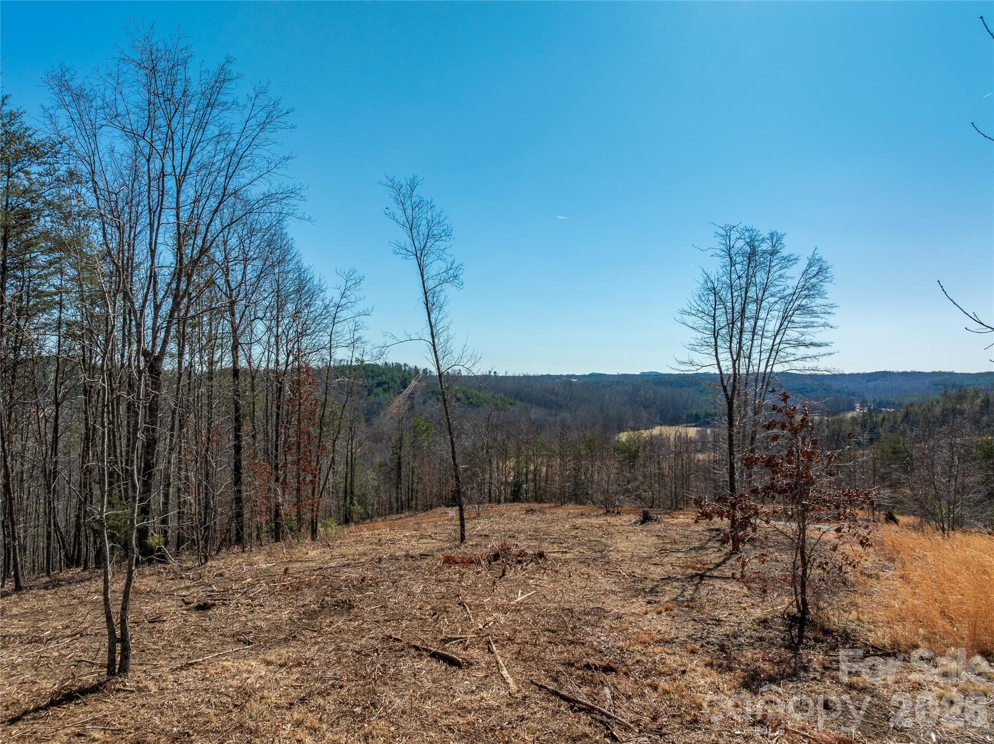 Lot at LOT #1 Price Summit Way, Mill Spring, photo 6 of 18