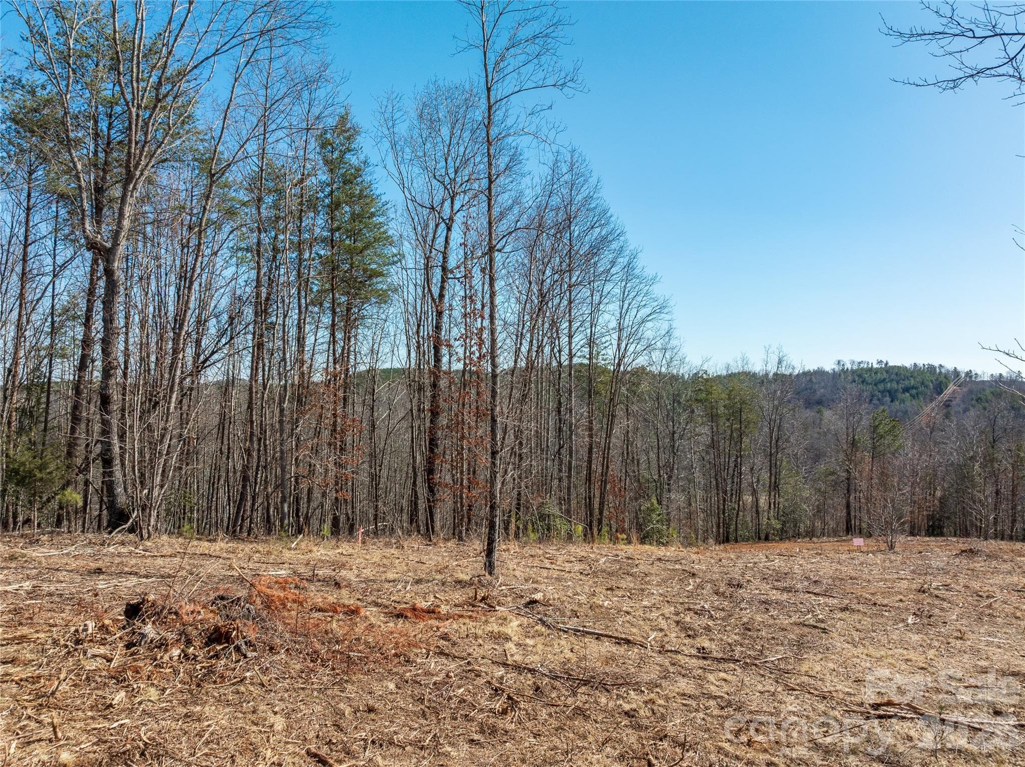 Lot at LOT #1 Price Summit Way, Mill Spring, photo 12 of 18
