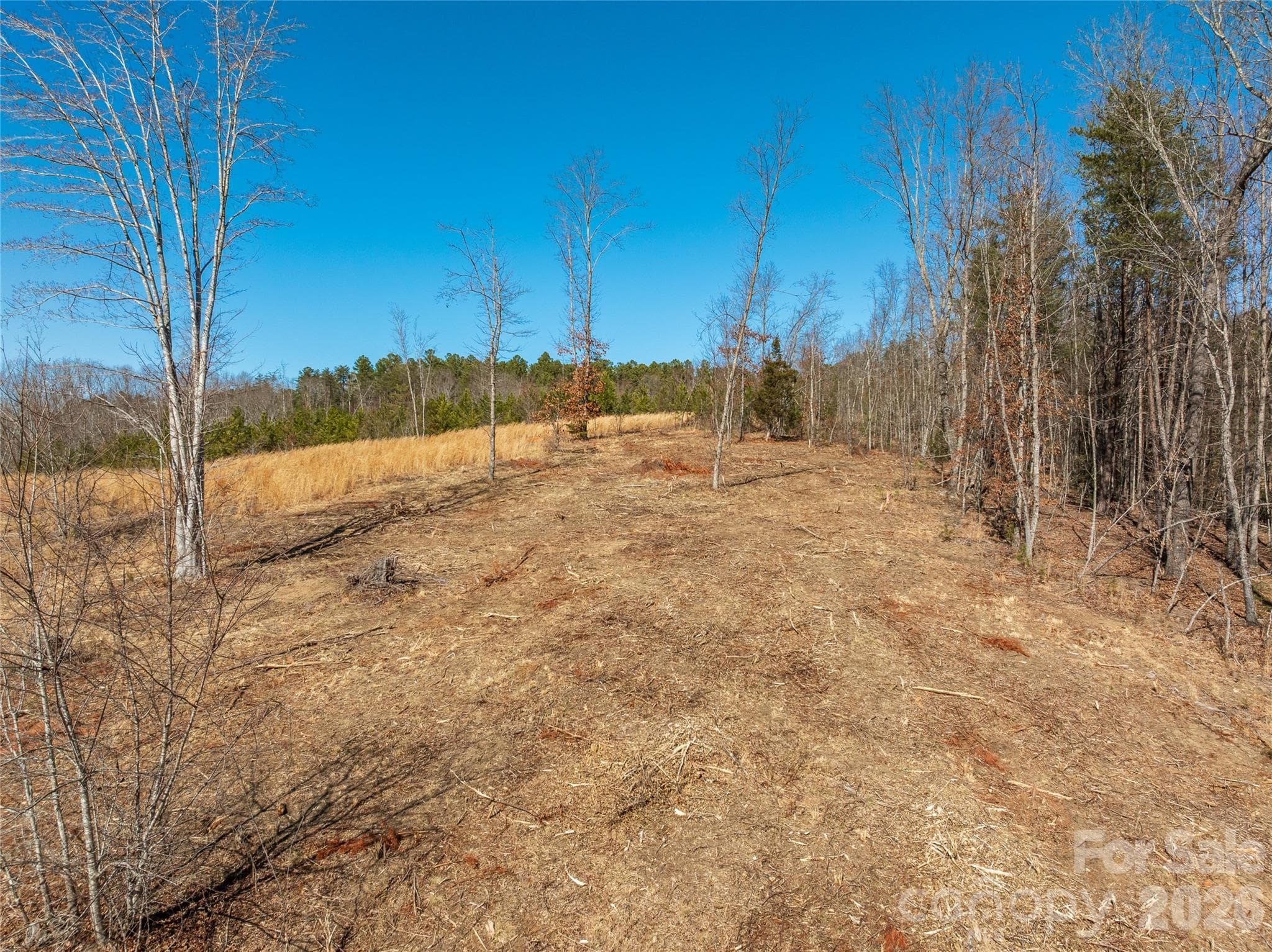 Lot at LOT #1 Price Summit Way, Mill Spring, photo 13 of 18