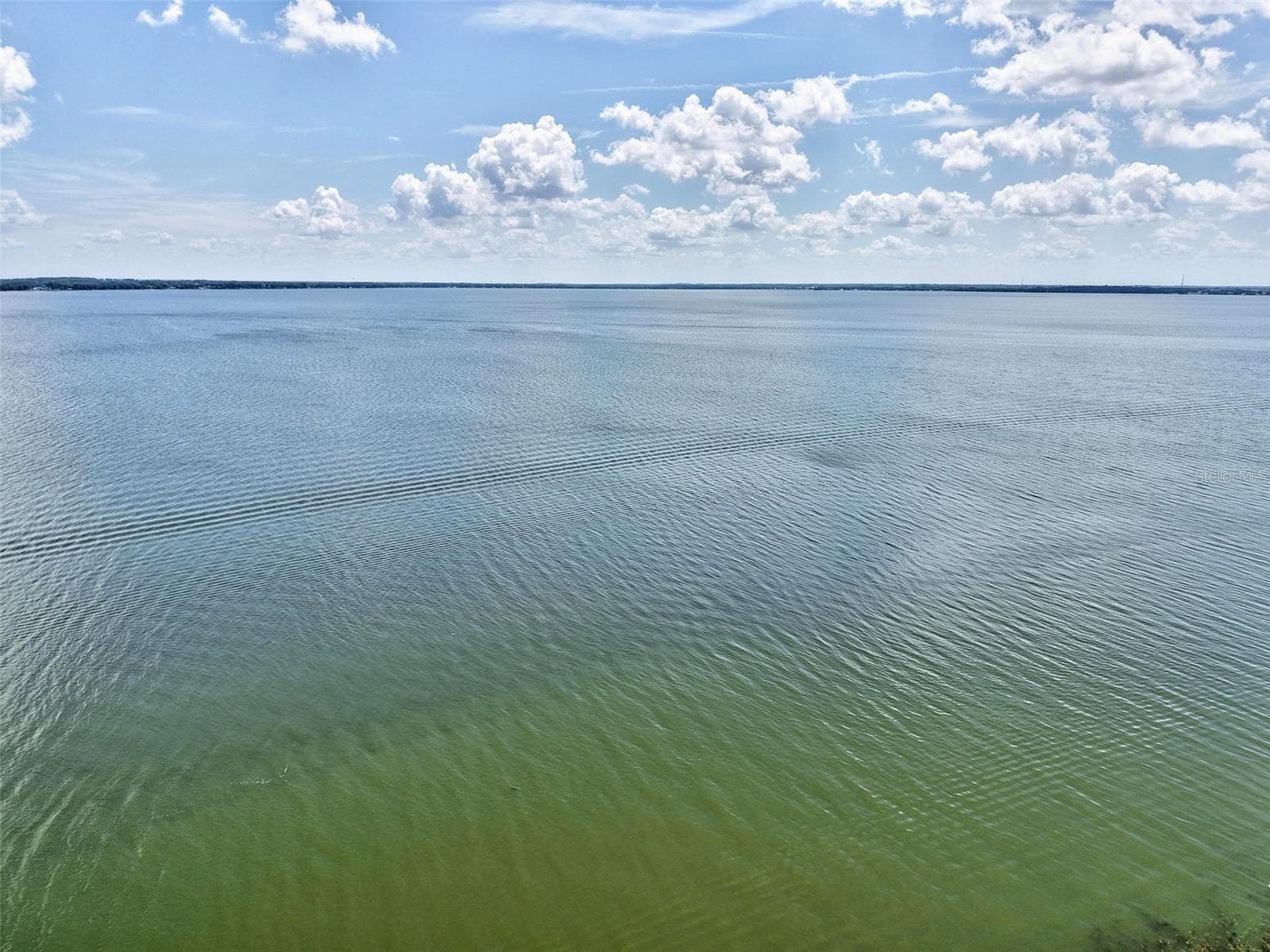 Harris Chain of Lakes - 34312 CARL RD, LEESBURG