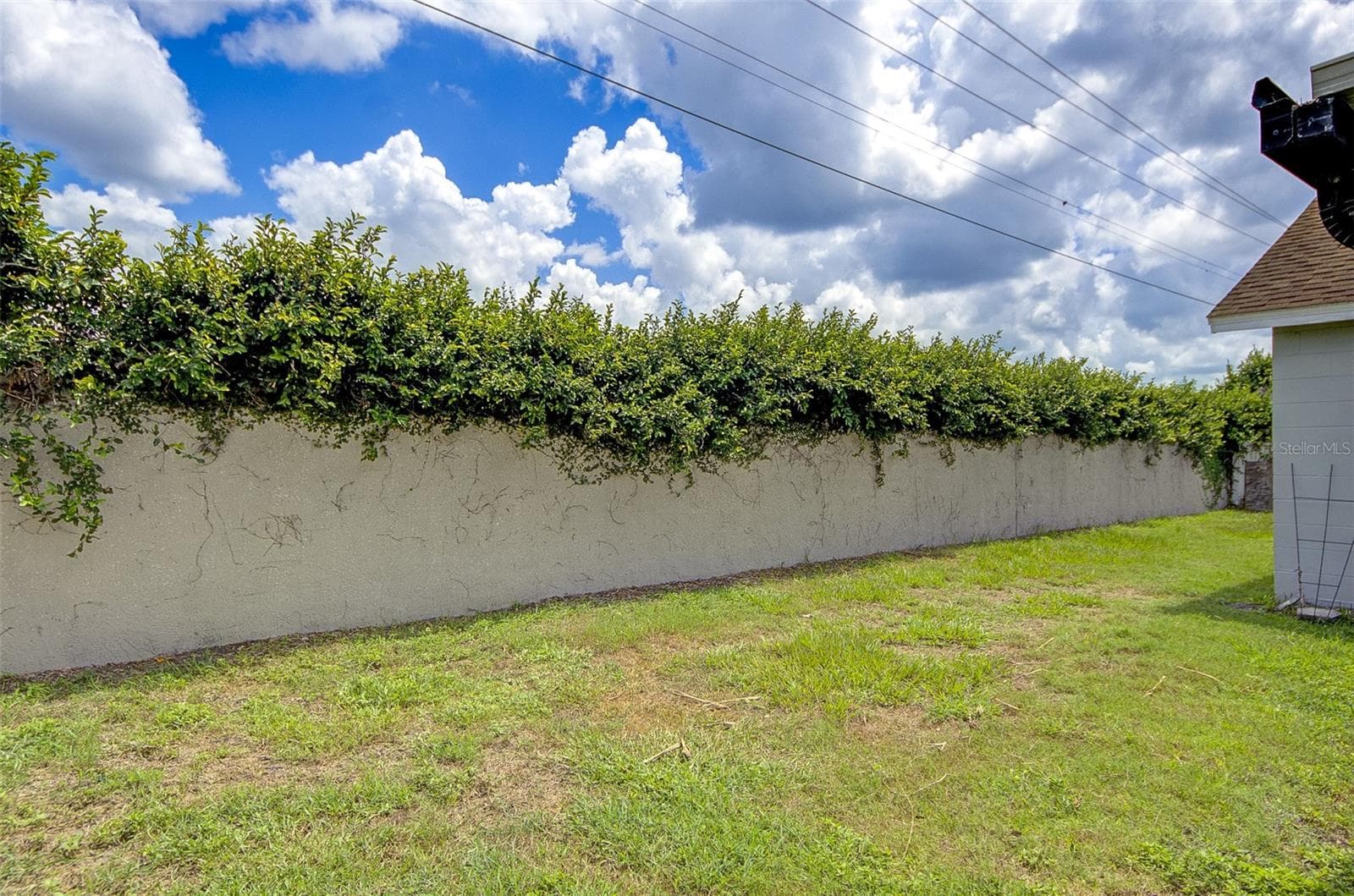 Rear Exterior - 13222 PINE CREEK CIR, RIVERVIEW