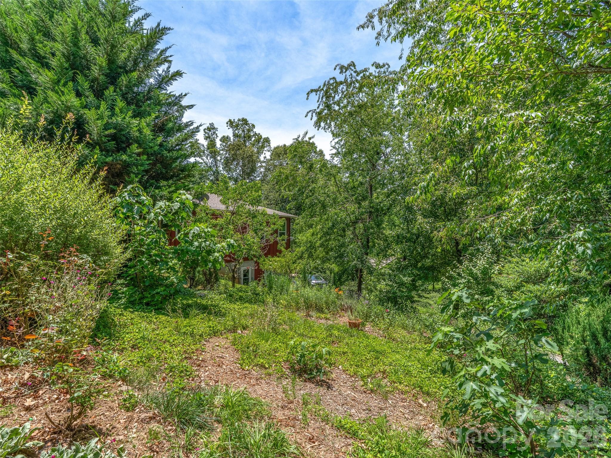 Native plant cottage garden. - 60 Mardell Circle, Asheville