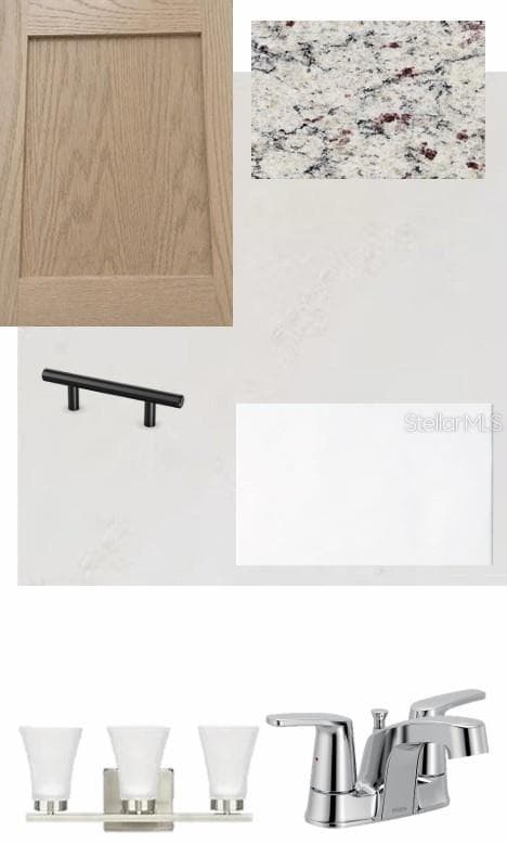 Interior Design Selections - 3542 CASPIAN CHERVIL ST, WESLEY CHAPEL