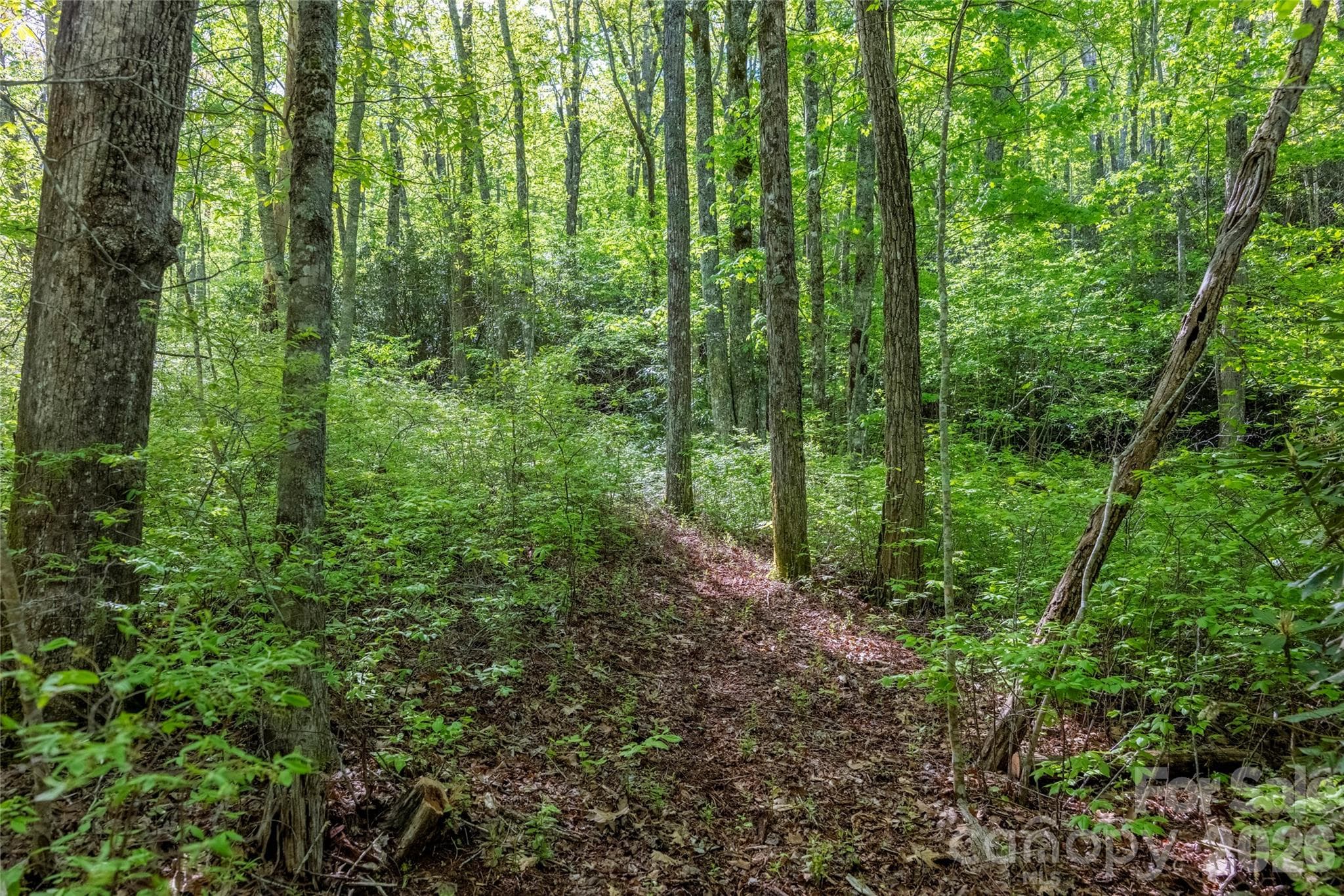 Acreage at TBD Long Ridge Road, Lake Toxaway, photo 4 of 13