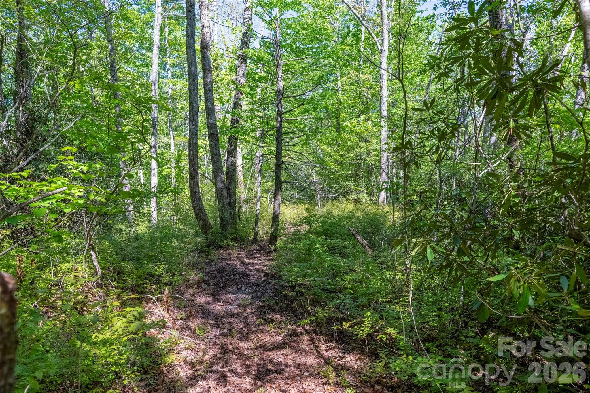 Acreage at TBD Long Ridge Road, Lake Toxaway, photo 5 of 13