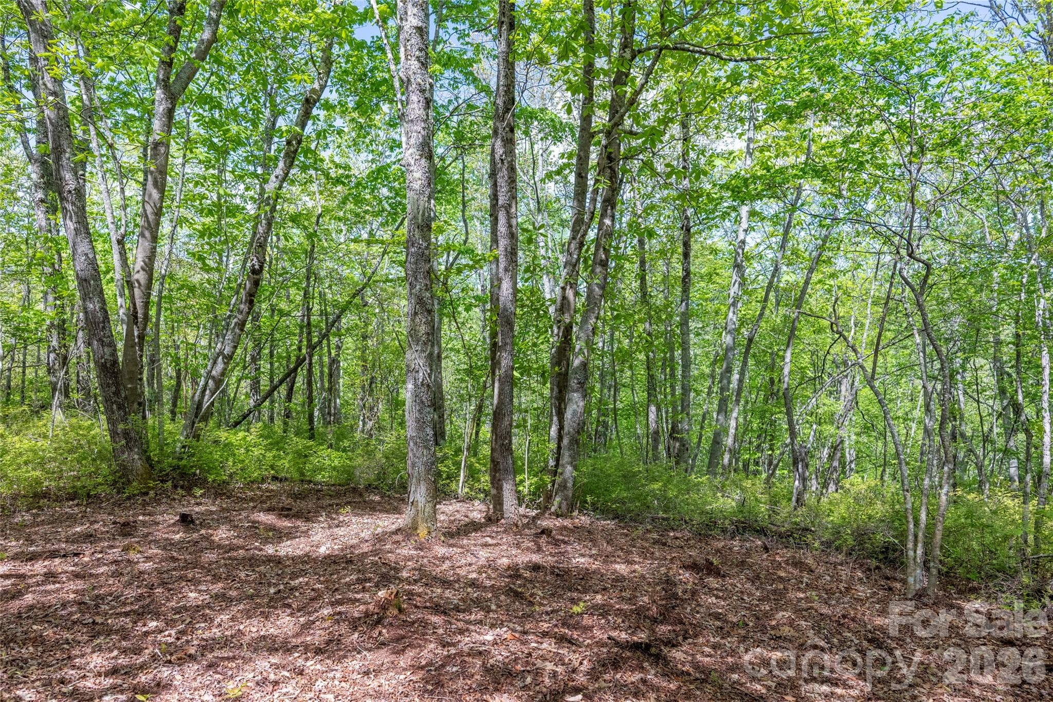 Acreage at TBD Long Ridge Road, Lake Toxaway, photo 7 of 13
