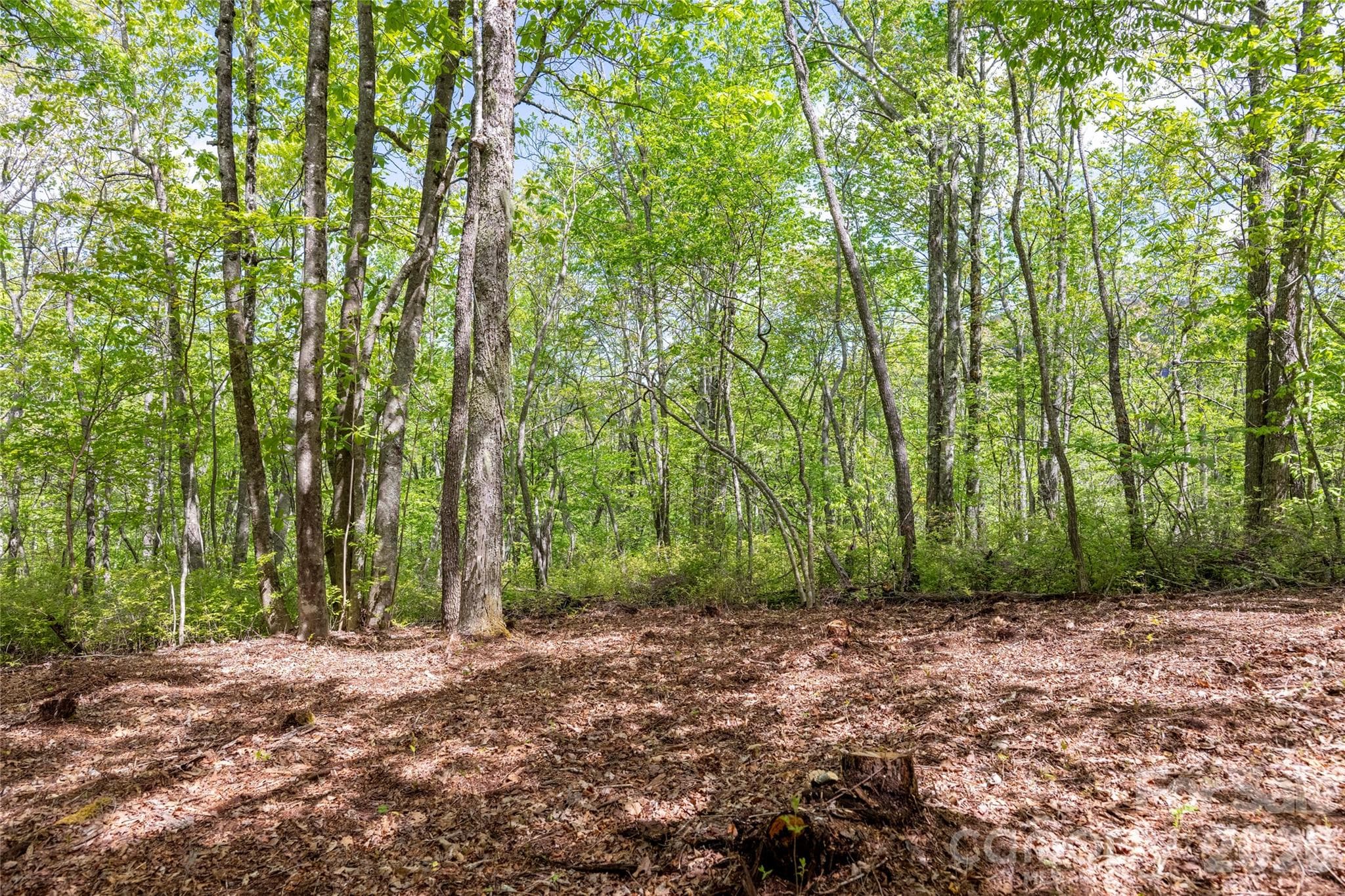 Acreage at TBD Long Ridge Road, Lake Toxaway, photo 8 of 13
