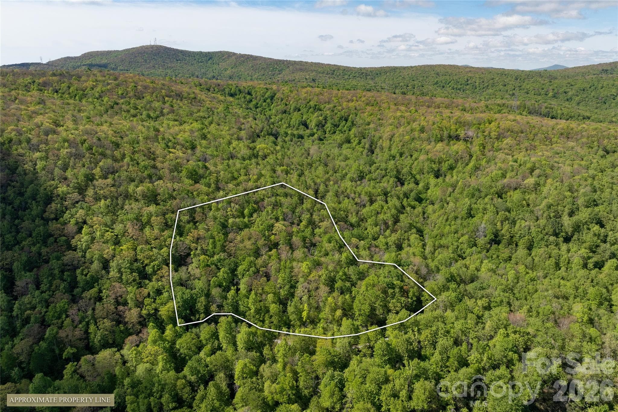 Acreage at TBD Long Ridge Road, Lake Toxaway, photo 11 of 13