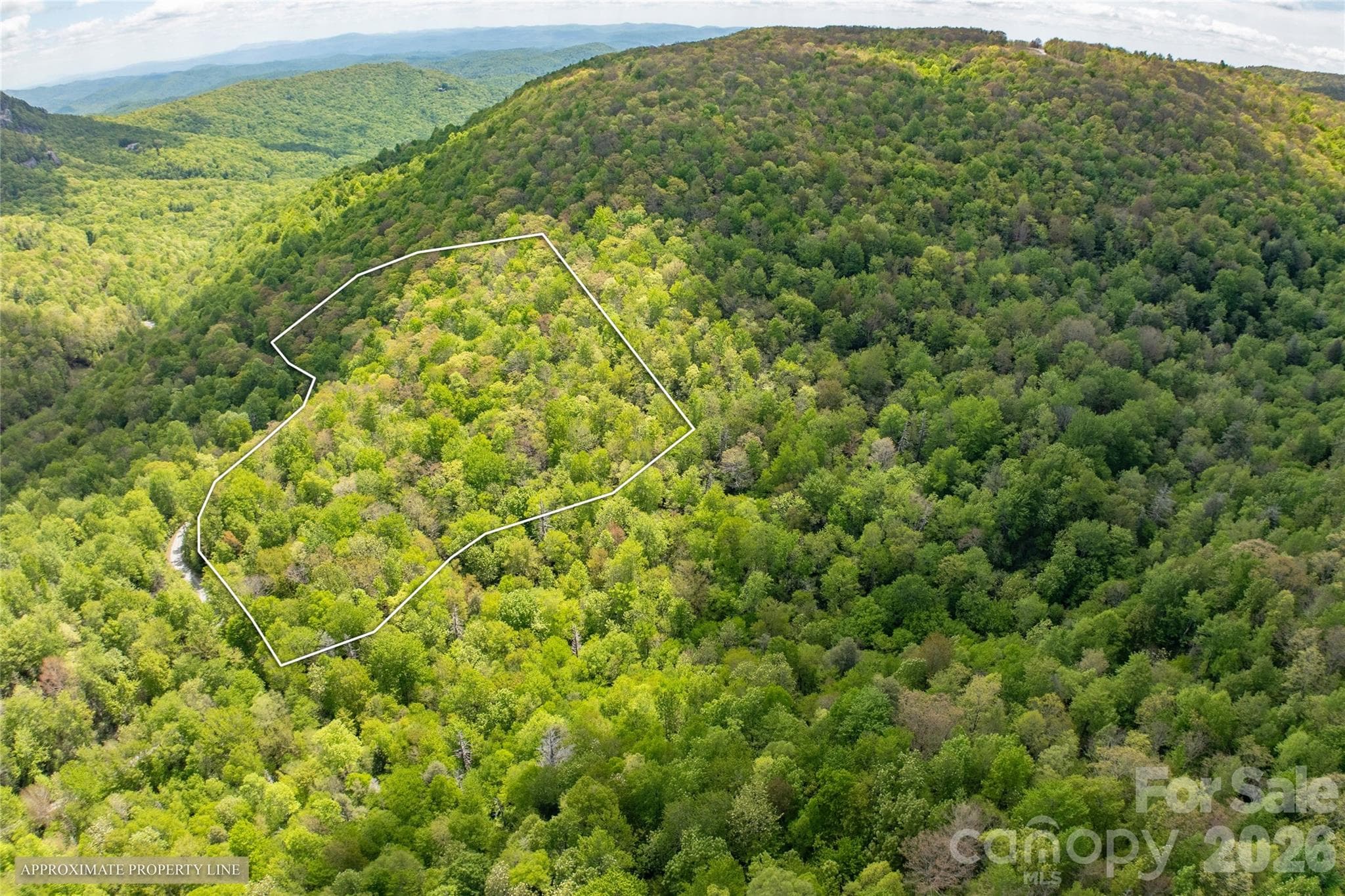 Acreage at TBD Long Ridge Road, Lake Toxaway, photo 12 of 13